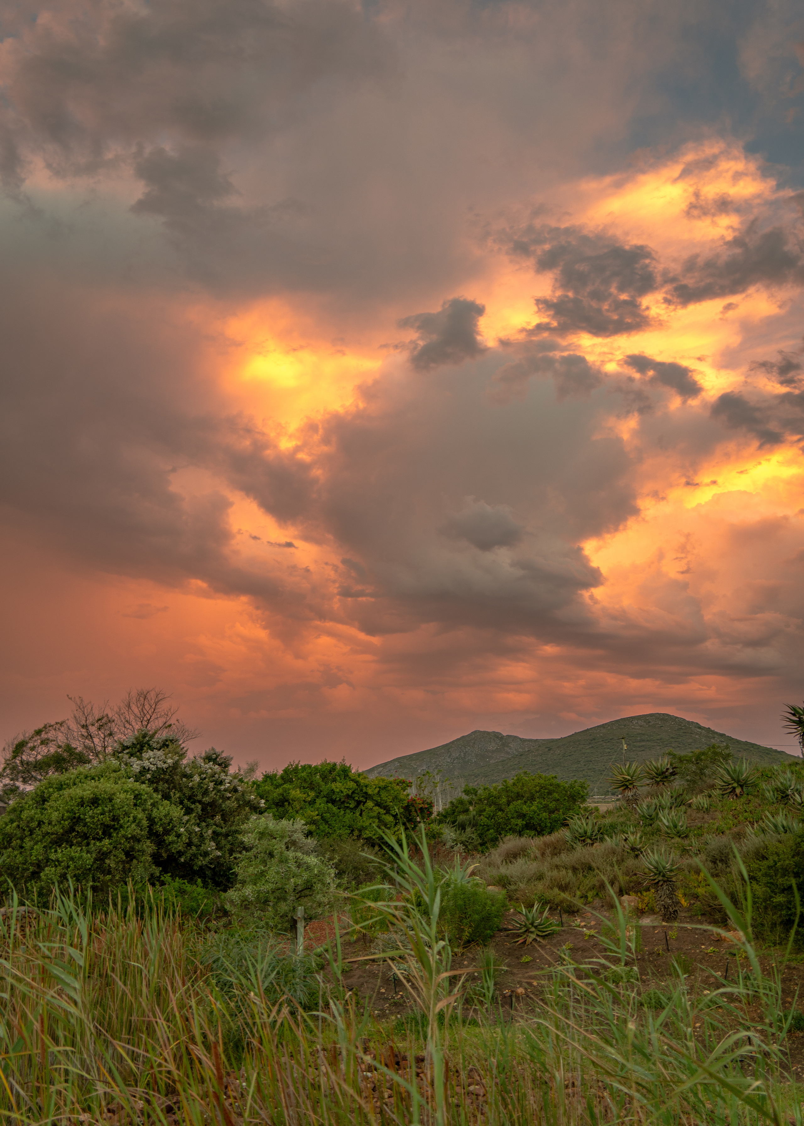 ЮАР. Amateur photographer Nikolai Abushinov