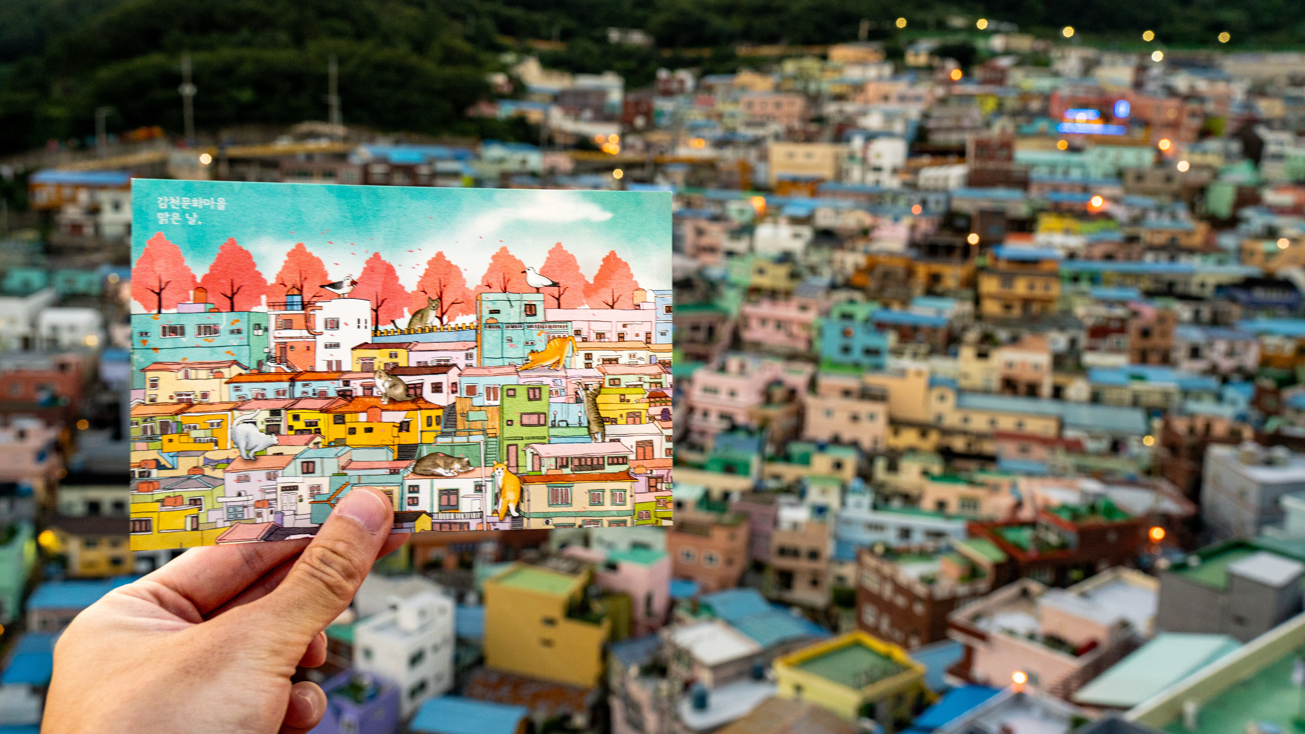 Южная Корея. Amateur photographer Nikolai Abushinov