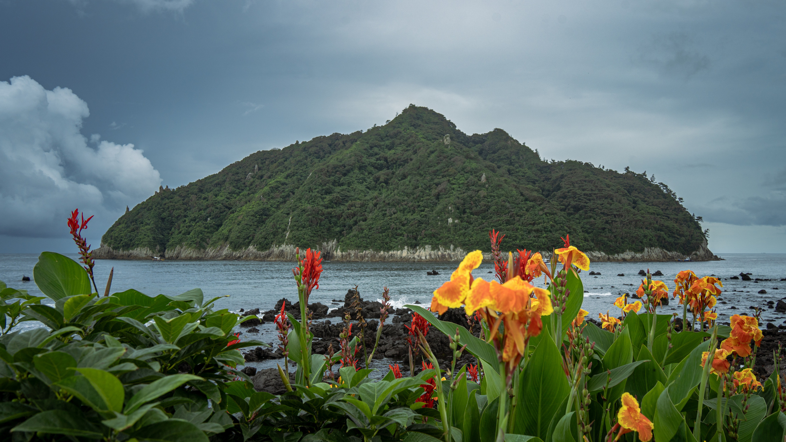 Южная Корея. Amateur photographer Nikolai Abushinov