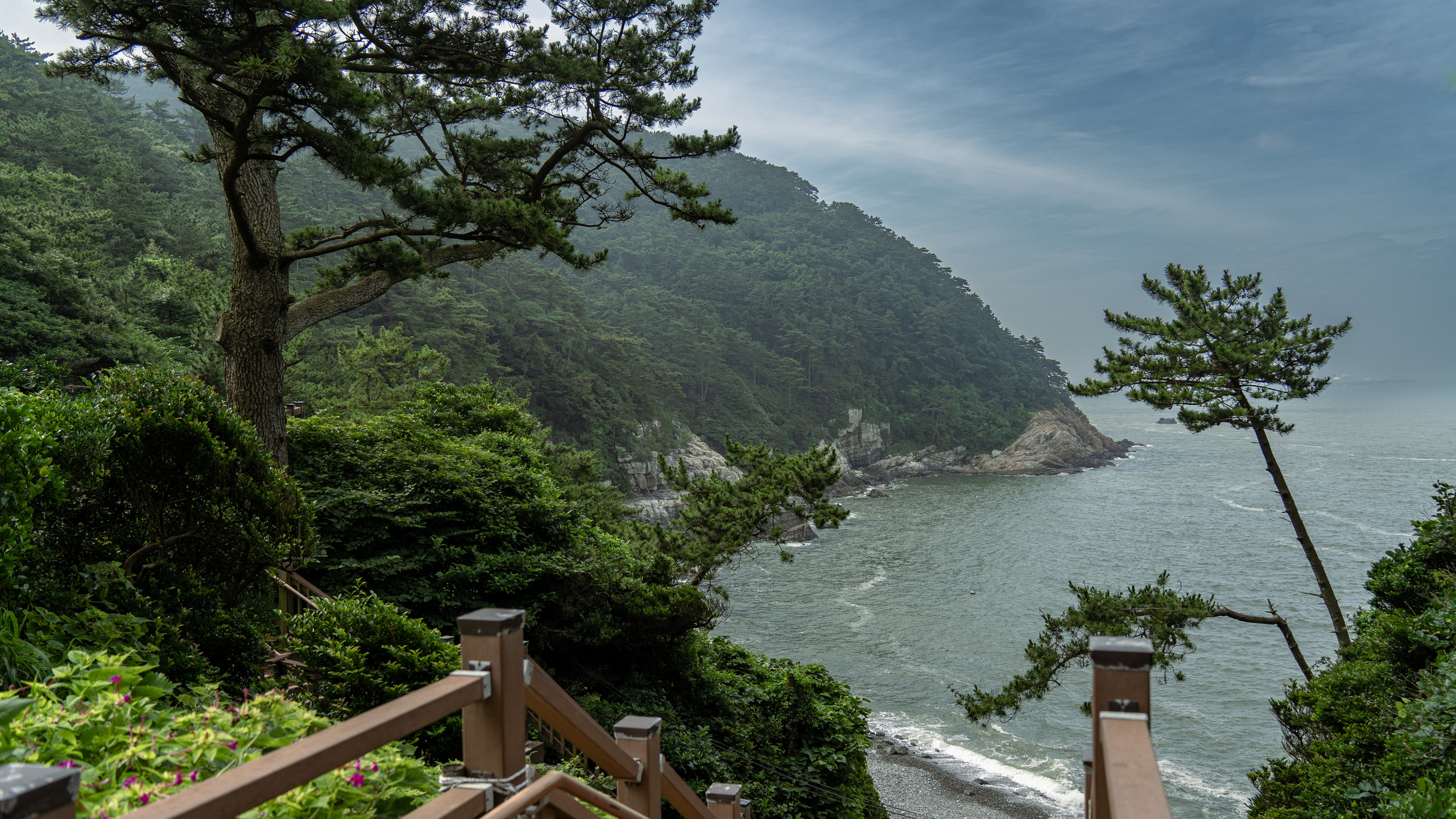 Южная Корея. Amateur photographer Nikolai Abushinov