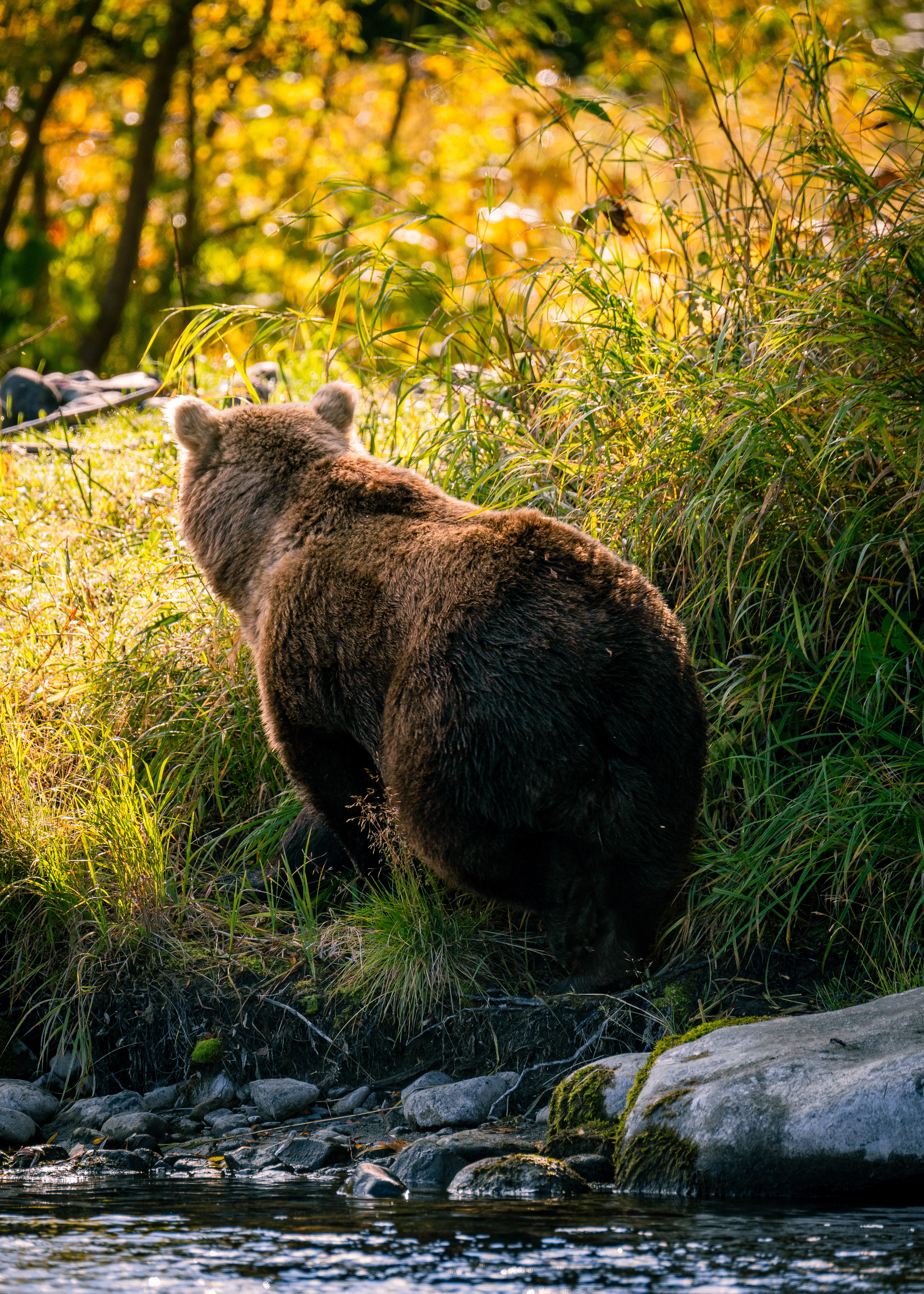 Камчатка. Amateur photographer Nikolai Abushinov