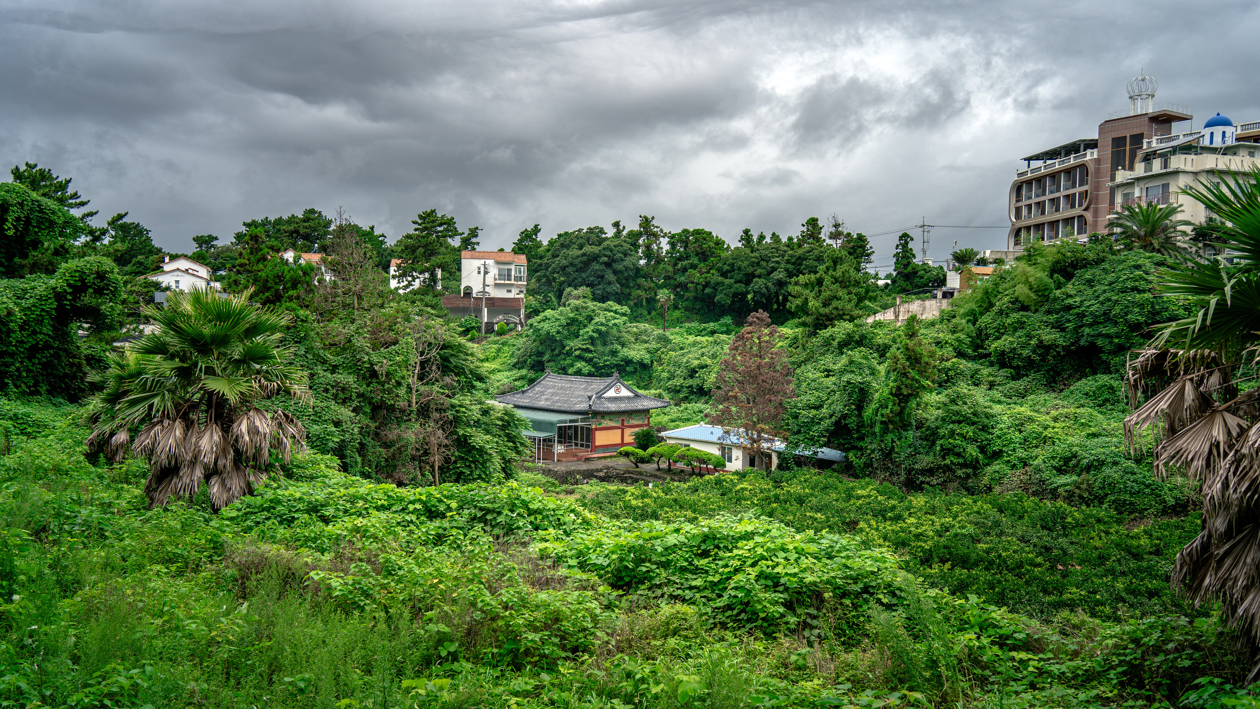 Южная Корея. Amateur photographer Nikolai Abushinov