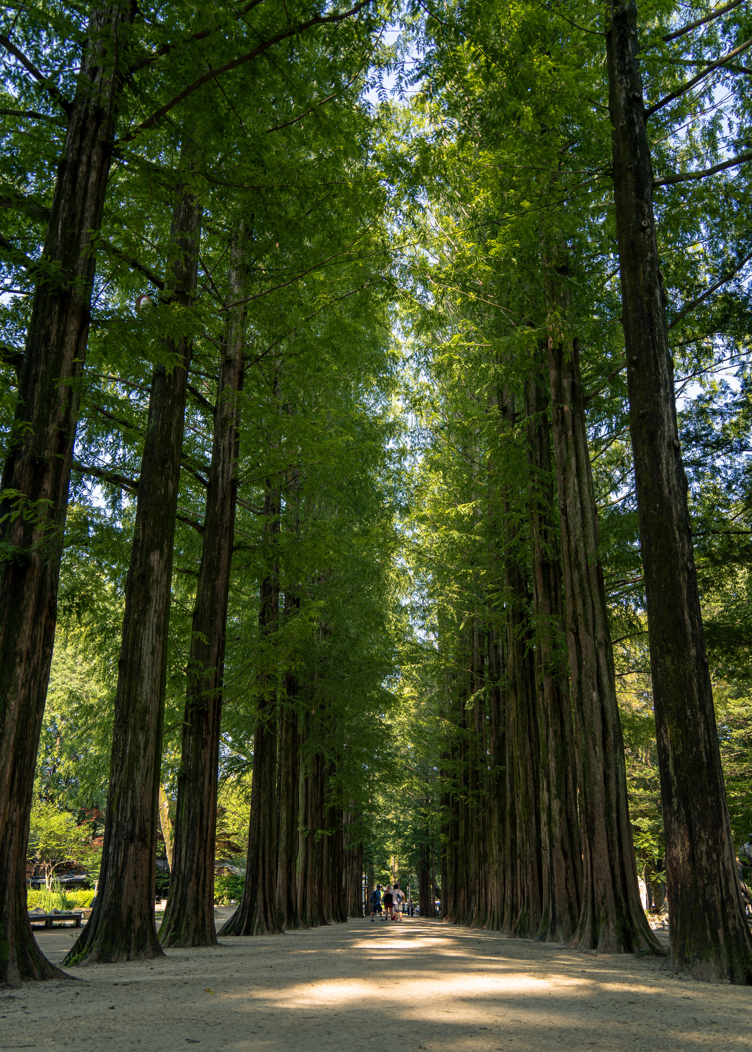 Южная Корея. Amateur photographer Nikolai Abushinov