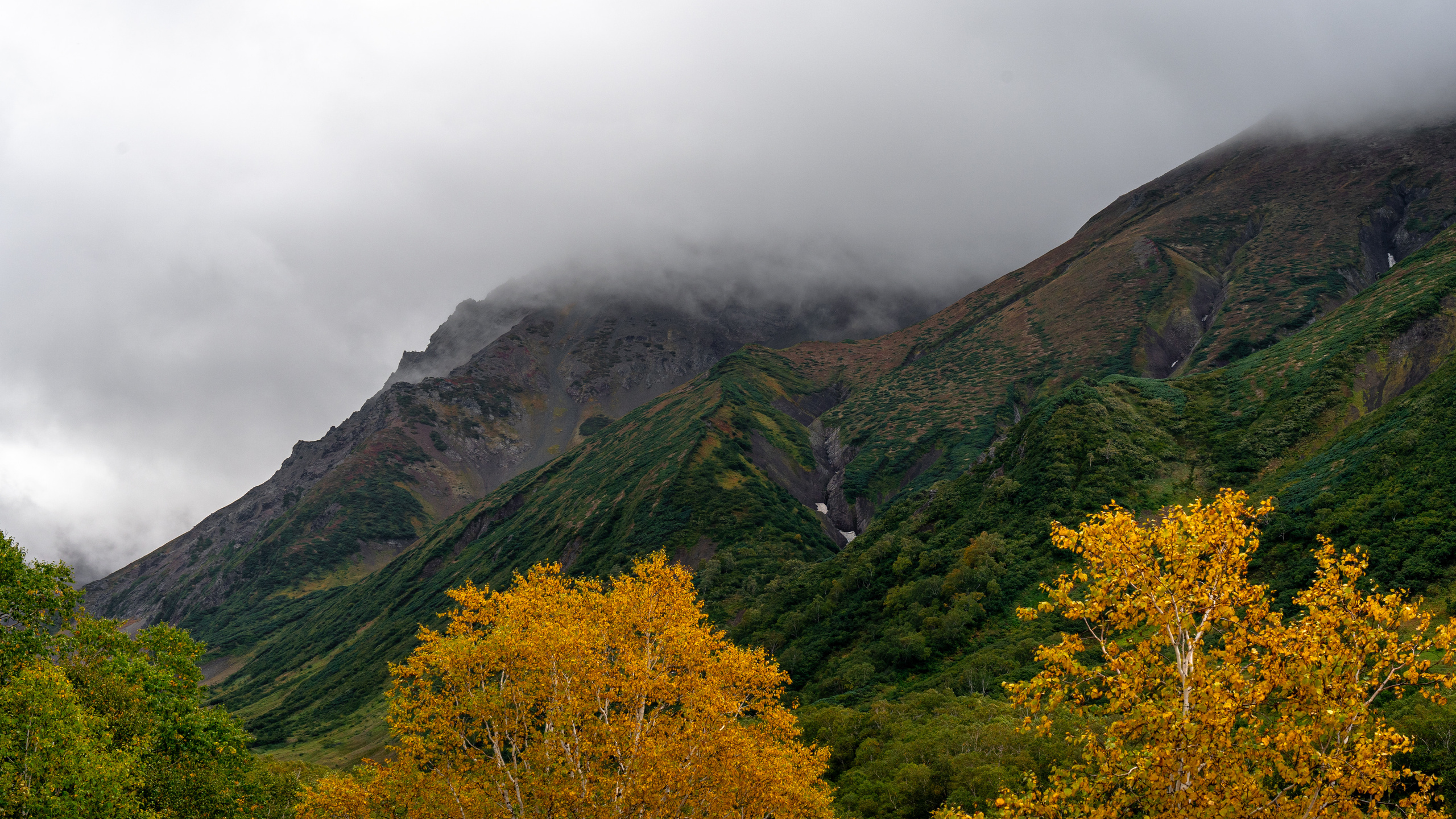 Камчатка. Amateur photographer Nikolai Abushinov