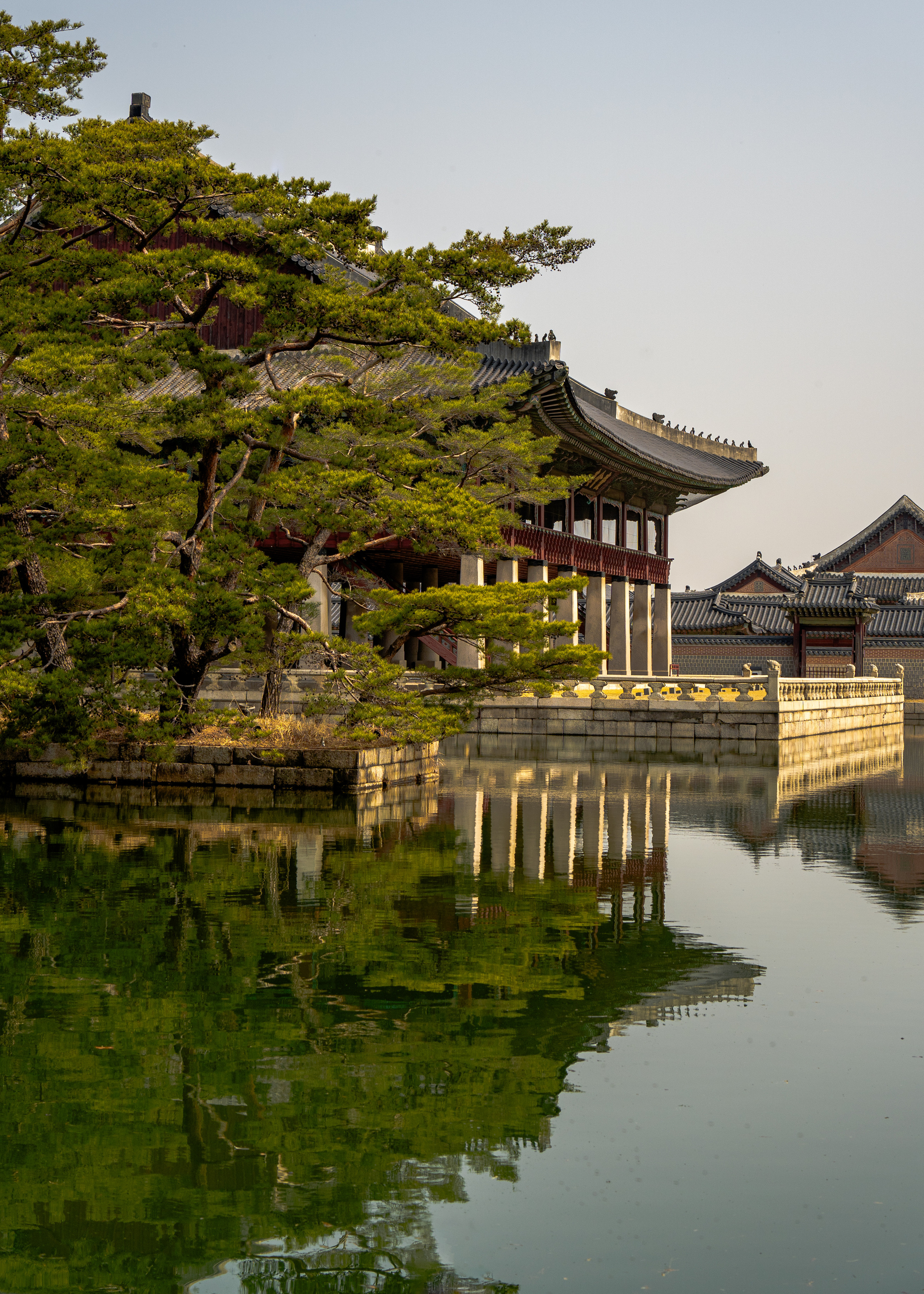 Южная Корея. Amateur photographer Nikolai Abushinov