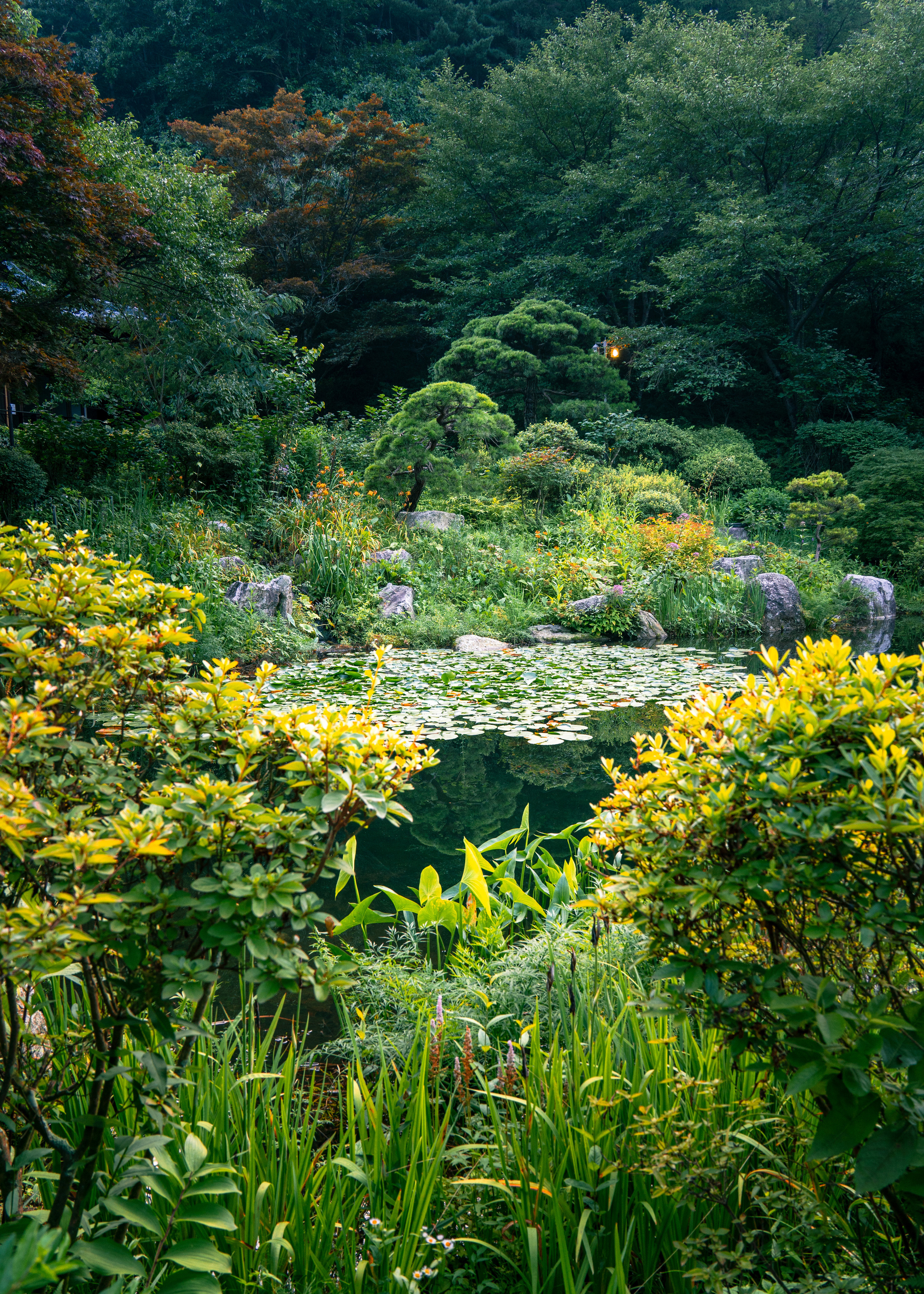 Южная Корея. Amateur photographer Nikolai Abushinov