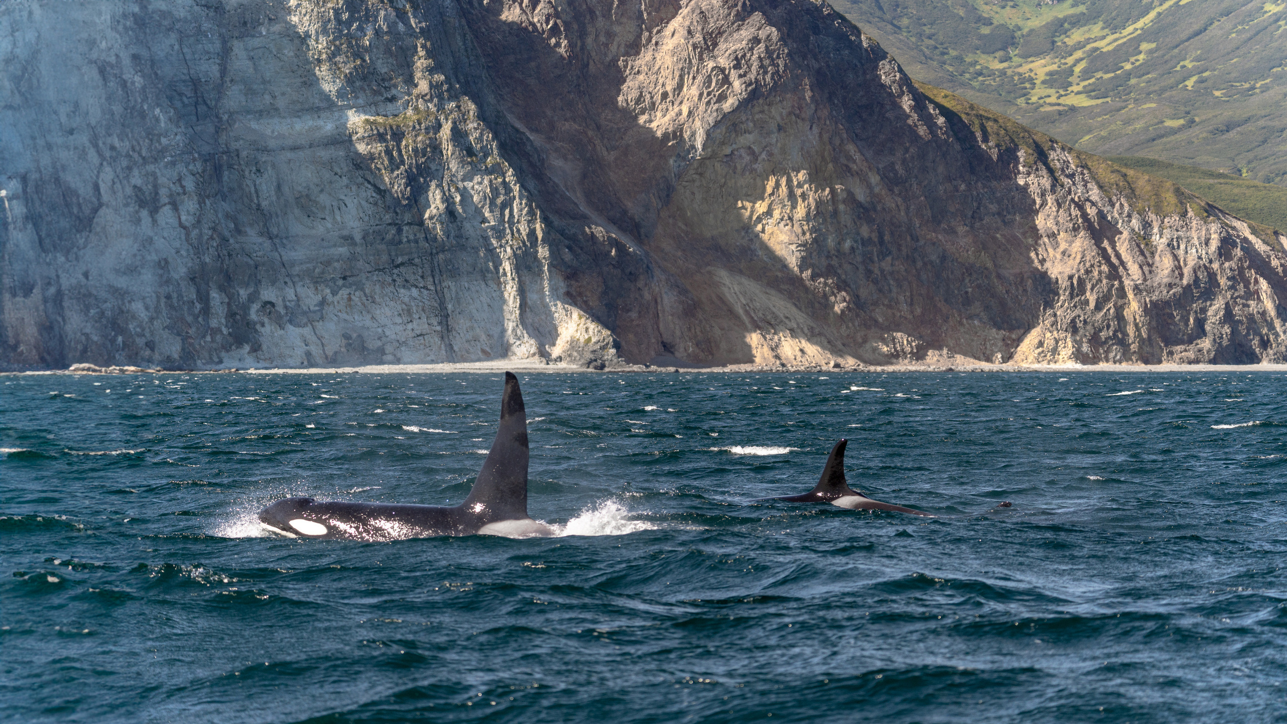 Камчатка. Amateur photographer Nikolai Abushinov