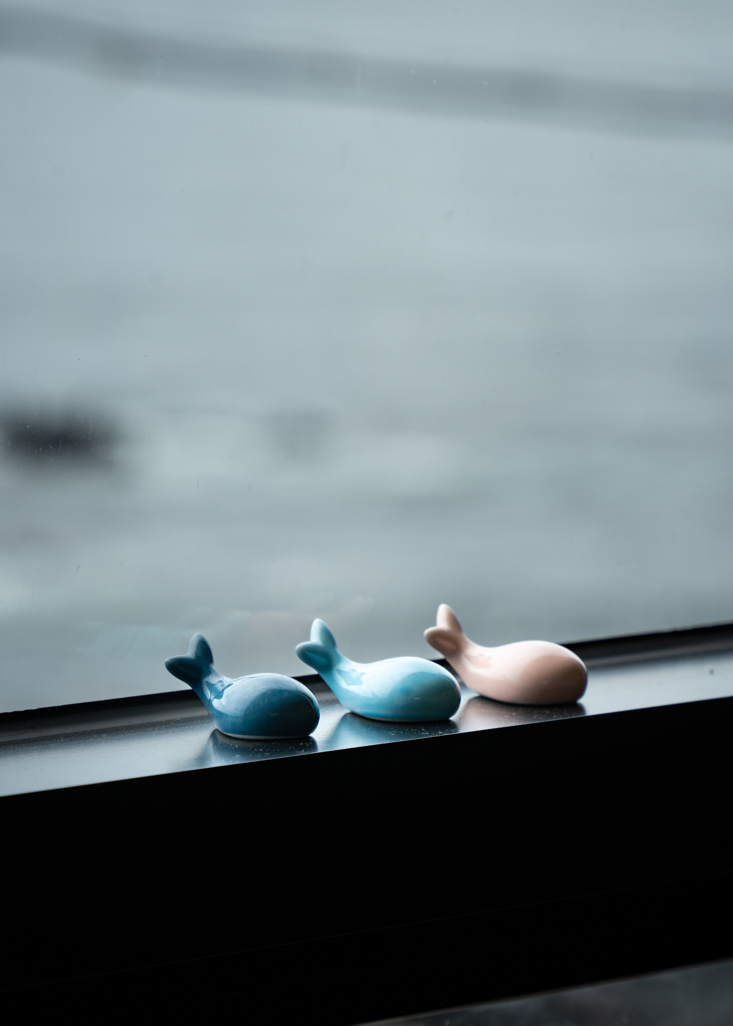 Южная Корея. Amateur photographer Nikolai Abushinov