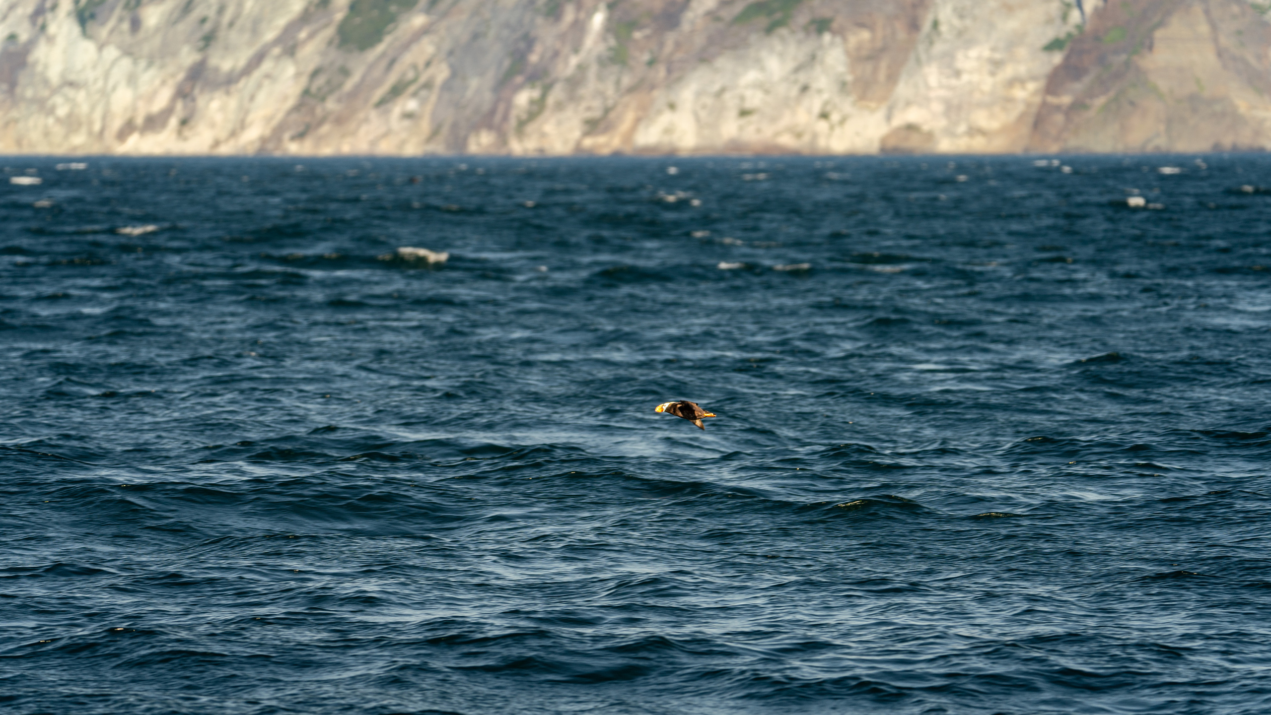 Камчатка. Amateur photographer Nikolai Abushinov