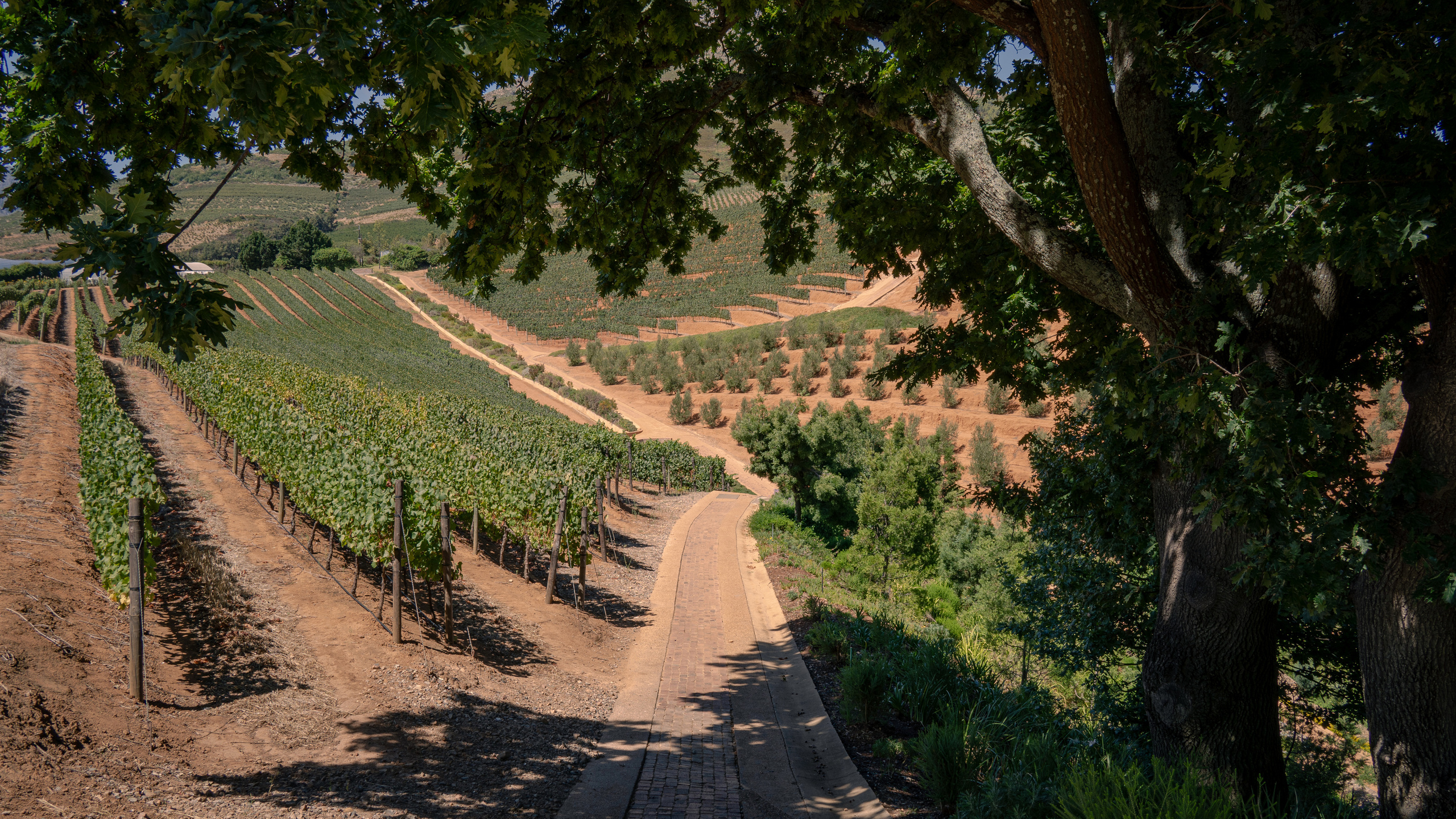 ЮАР. Amateur photographer Nikolai Abushinov