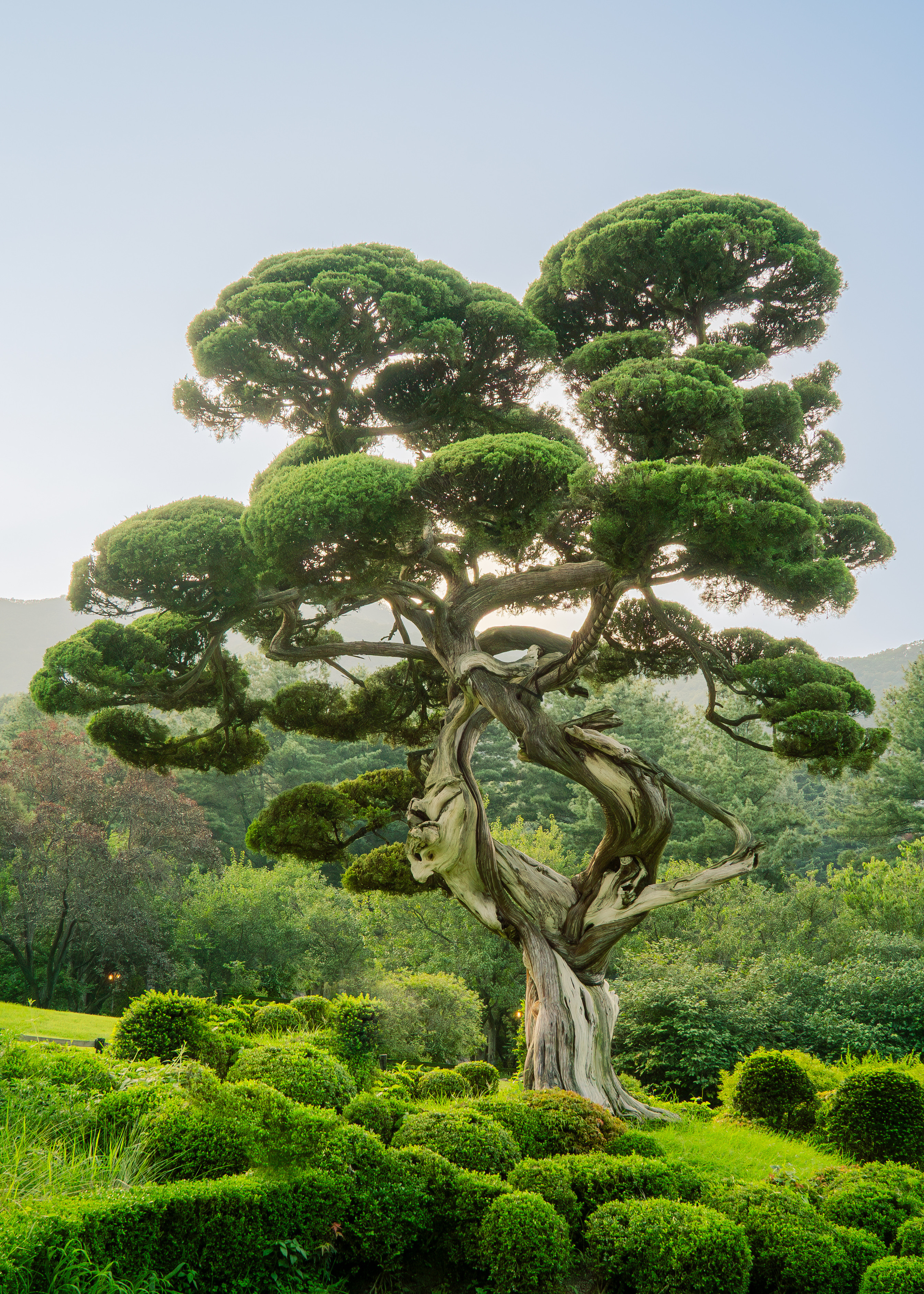 Южная Корея. Amateur photographer Nikolai Abushinov