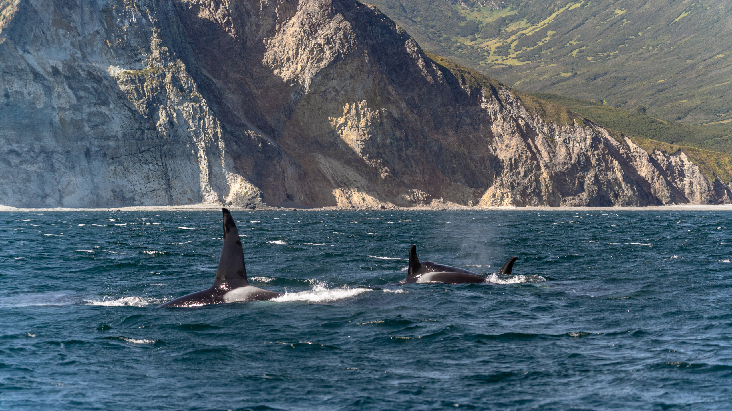 Камчатка. Amateur photographer Nikolai Abushinov