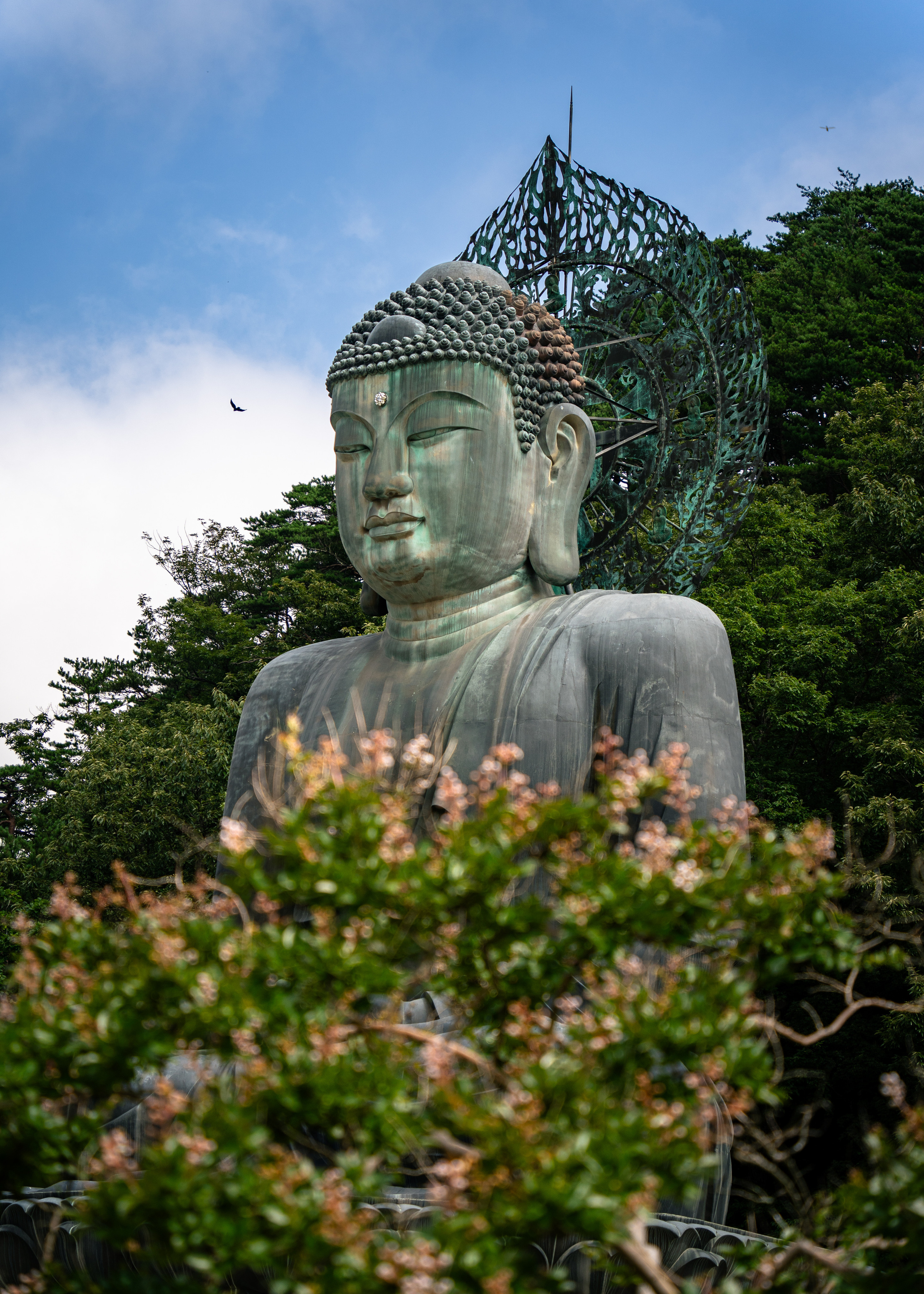 Южная Корея. Amateur photographer Nikolai Abushinov