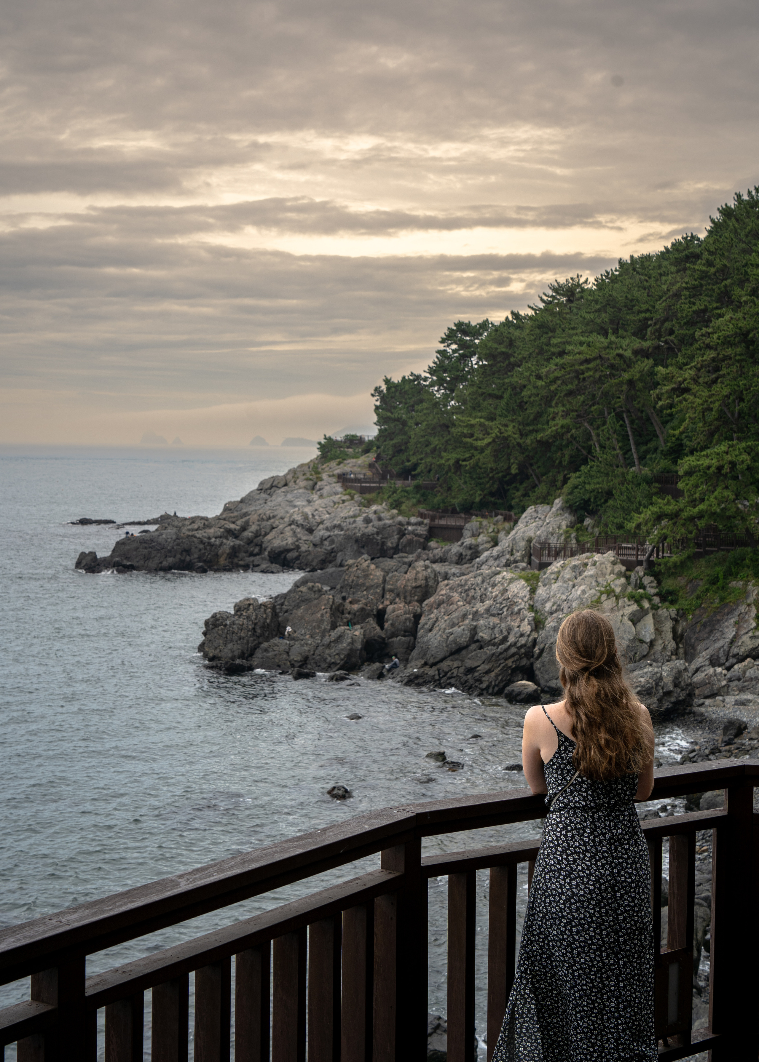 Южная Корея. Amateur photographer Nikolai Abushinov