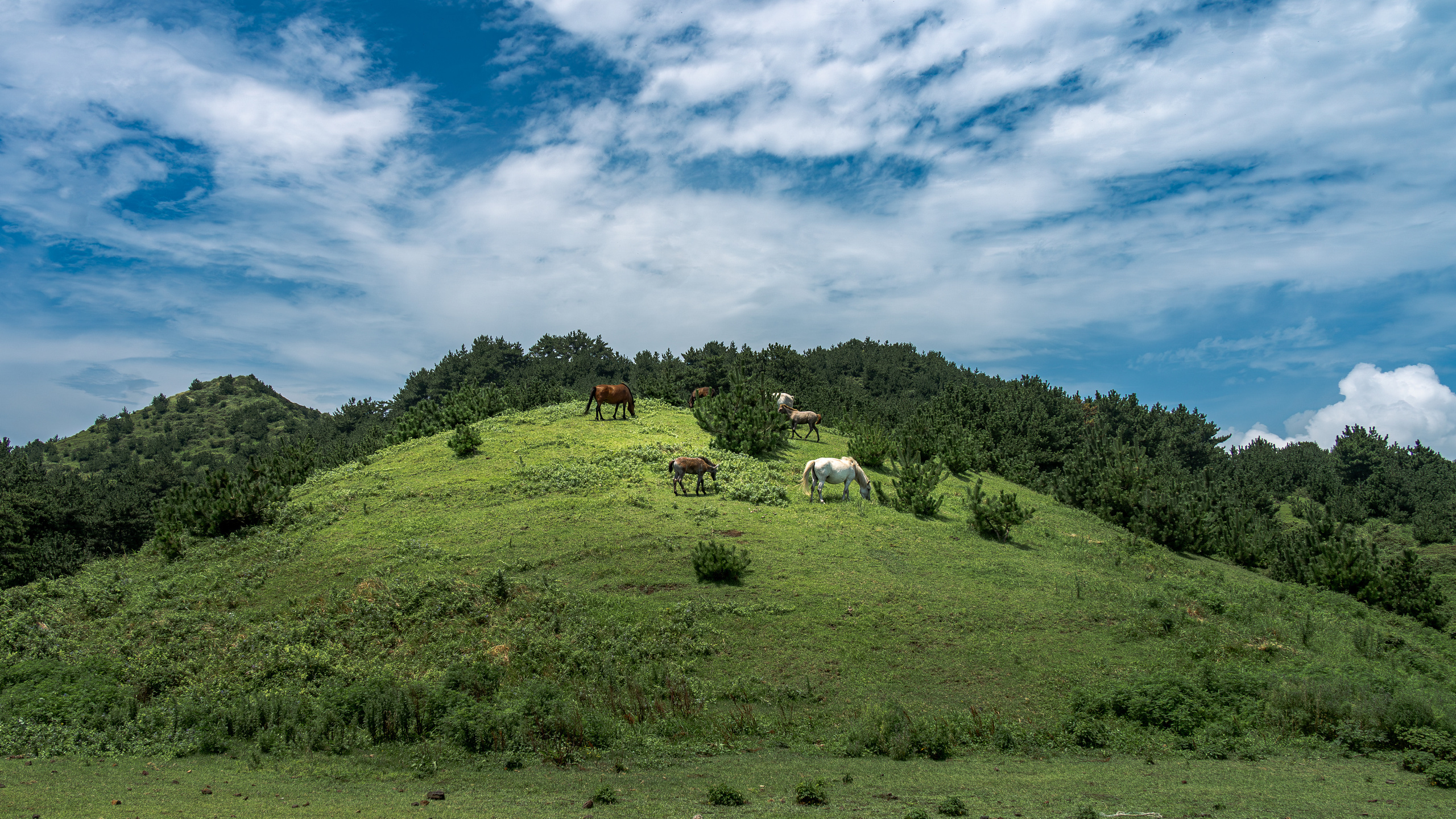 Южная Корея. Amateur photographer Nikolai Abushinov
