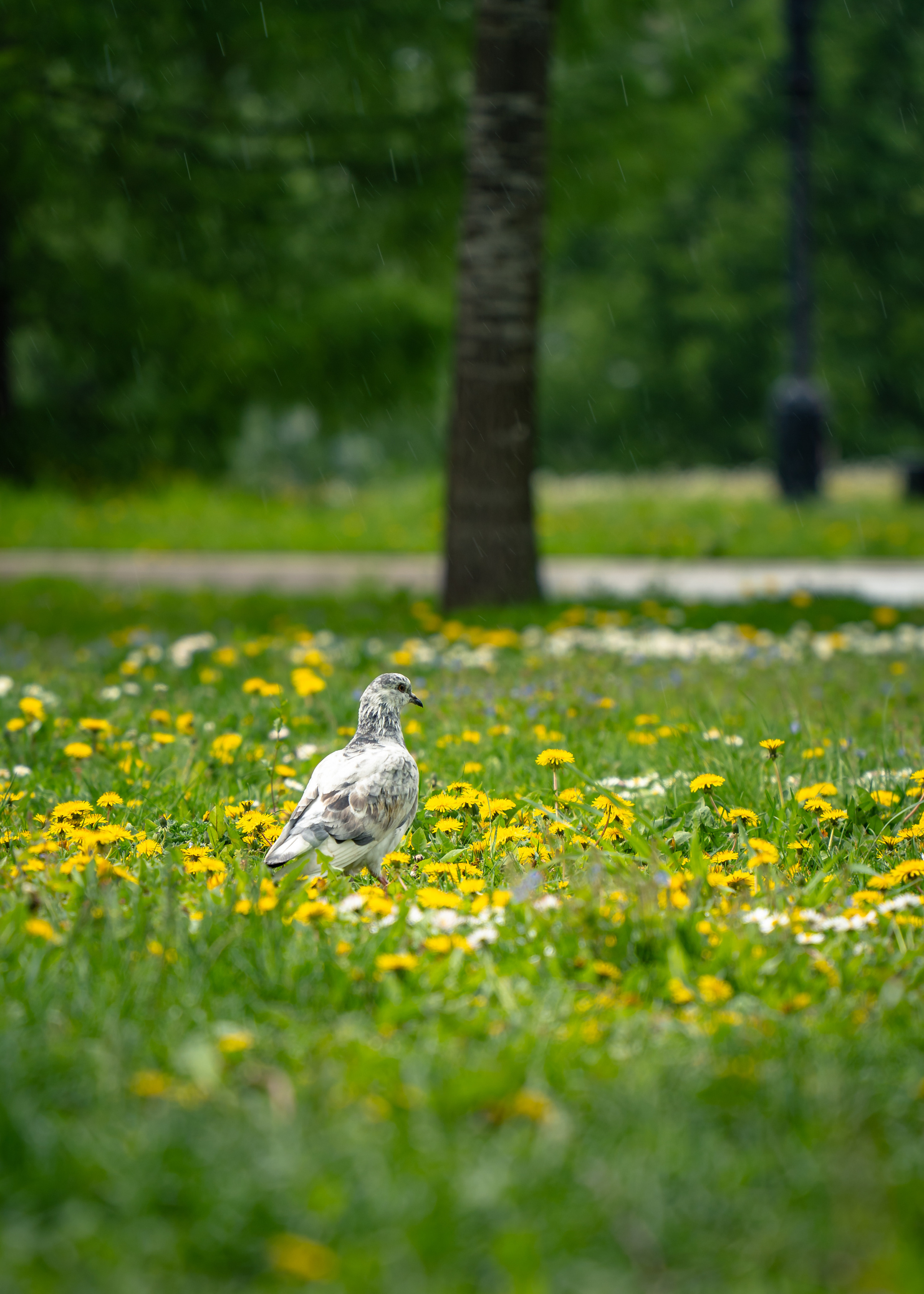 Москва. Amateur photographer Nikolai Abushinov