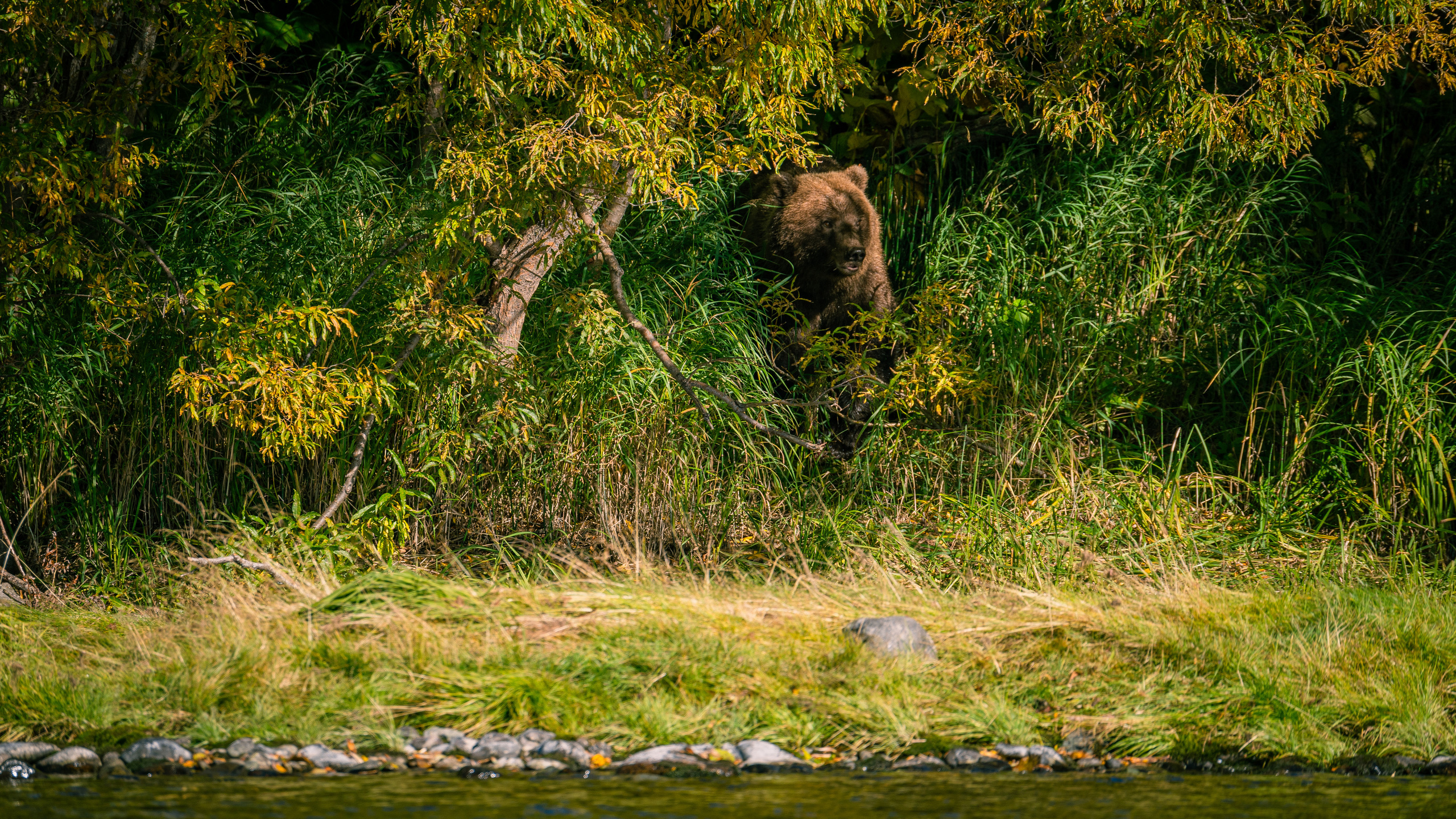 Камчатка. Amateur photographer Nikolai Abushinov