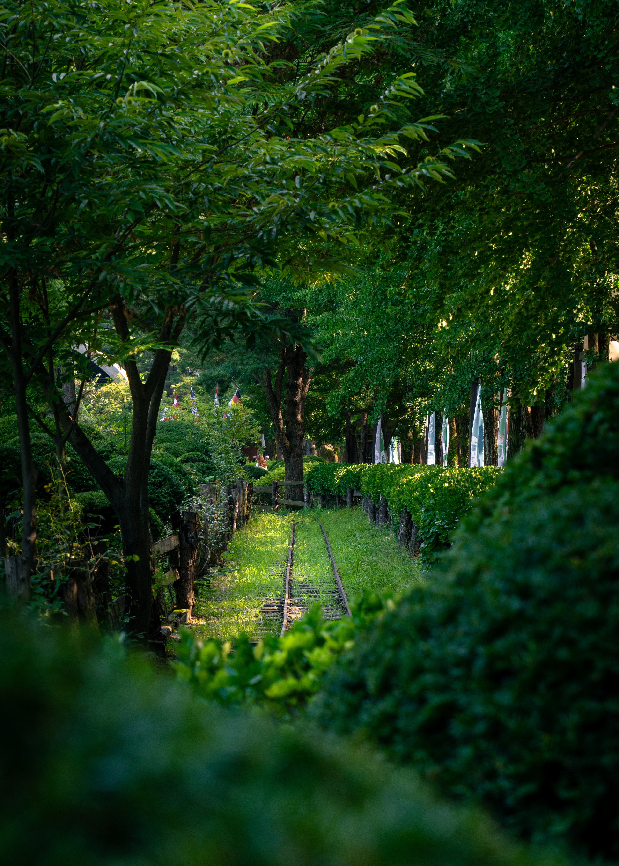 Южная Корея. Amateur photographer Nikolai Abushinov