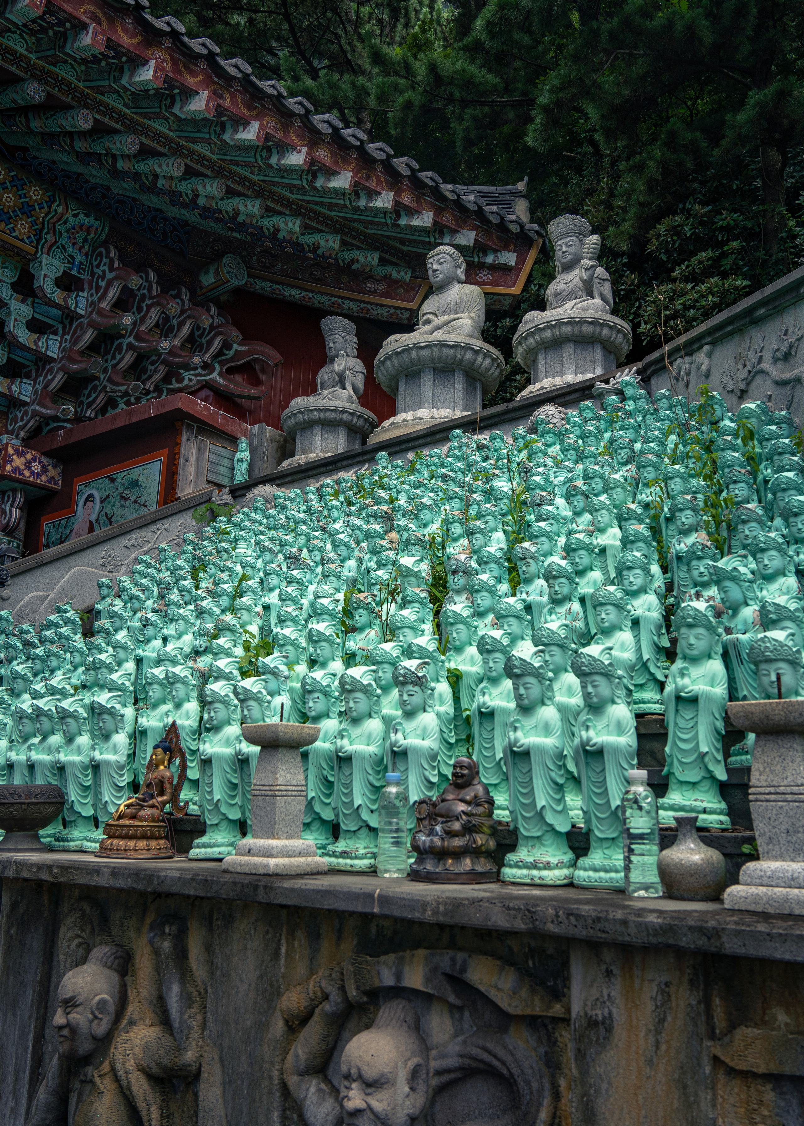 Южная Корея. Amateur photographer Nikolai Abushinov