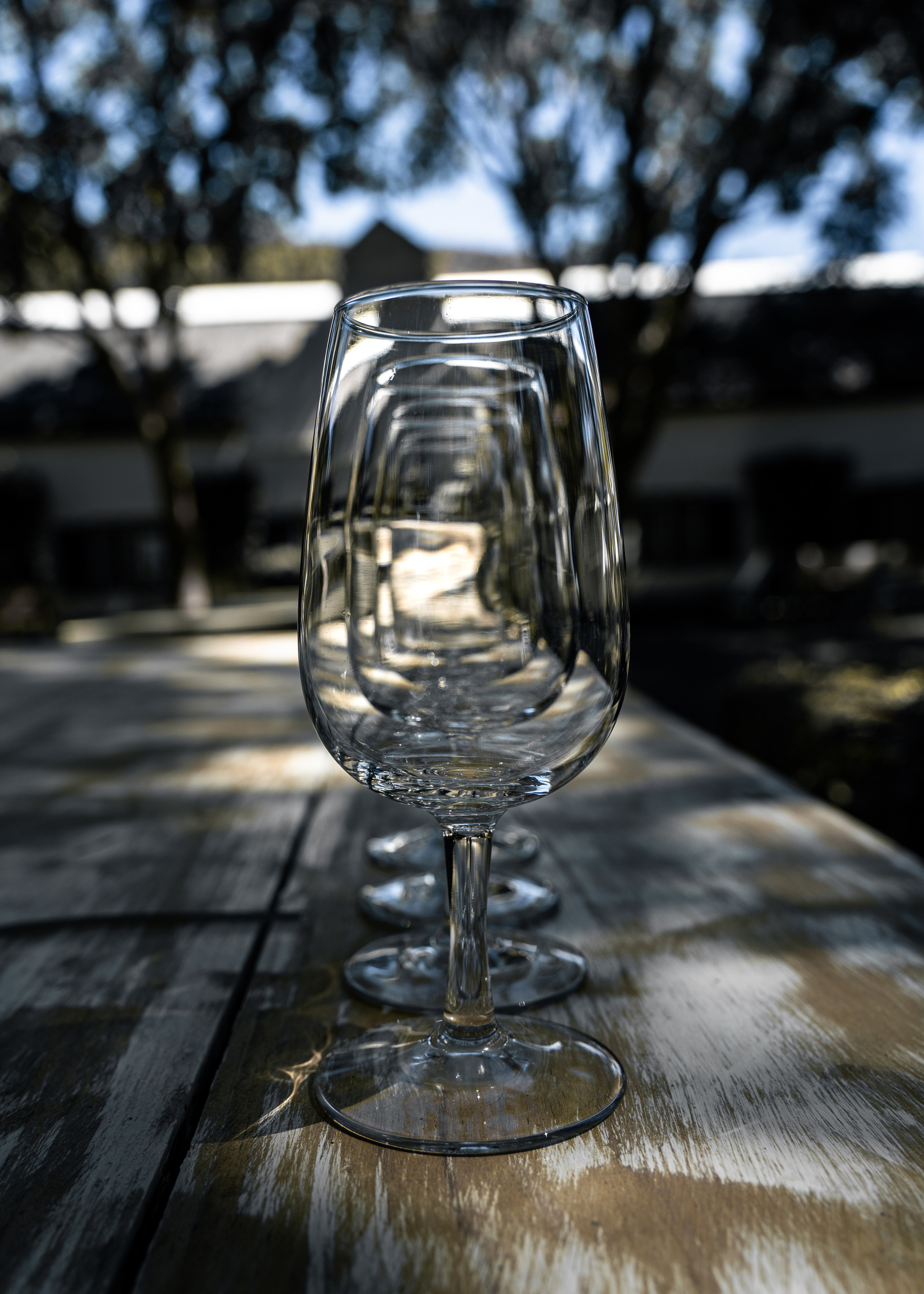 ЮАР. Amateur photographer Nikolai Abushinov