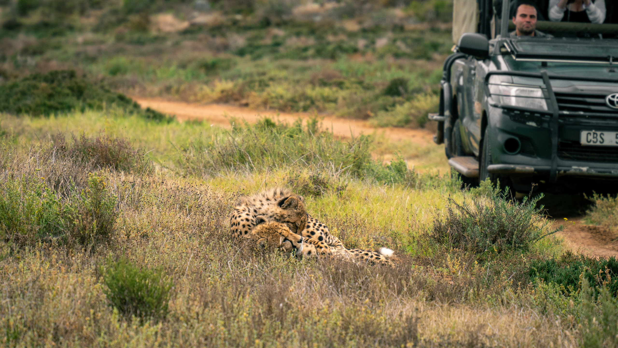 ЮАР. Amateur photographer Nikolai Abushinov