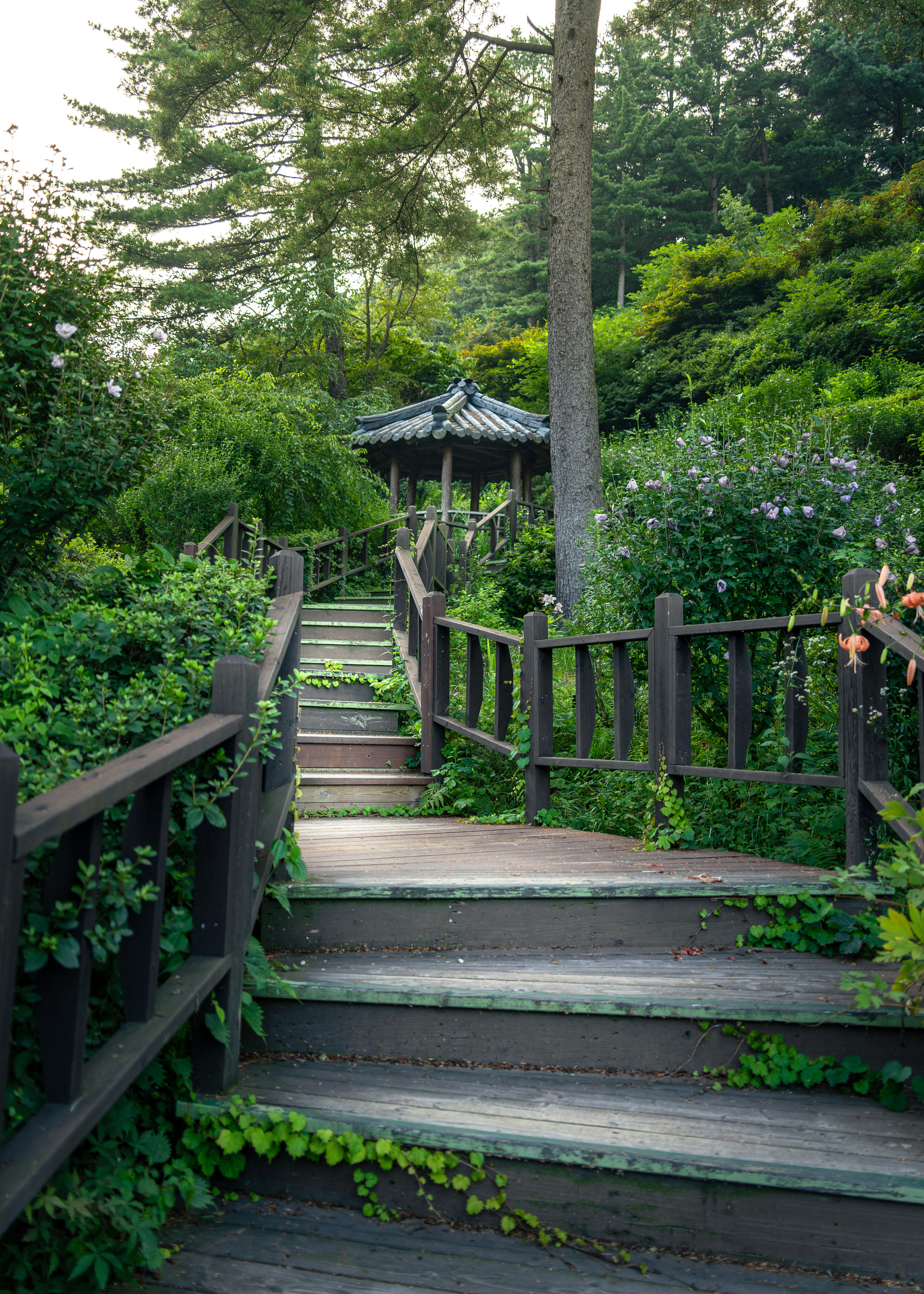 Южная Корея. Amateur photographer Nikolai Abushinov