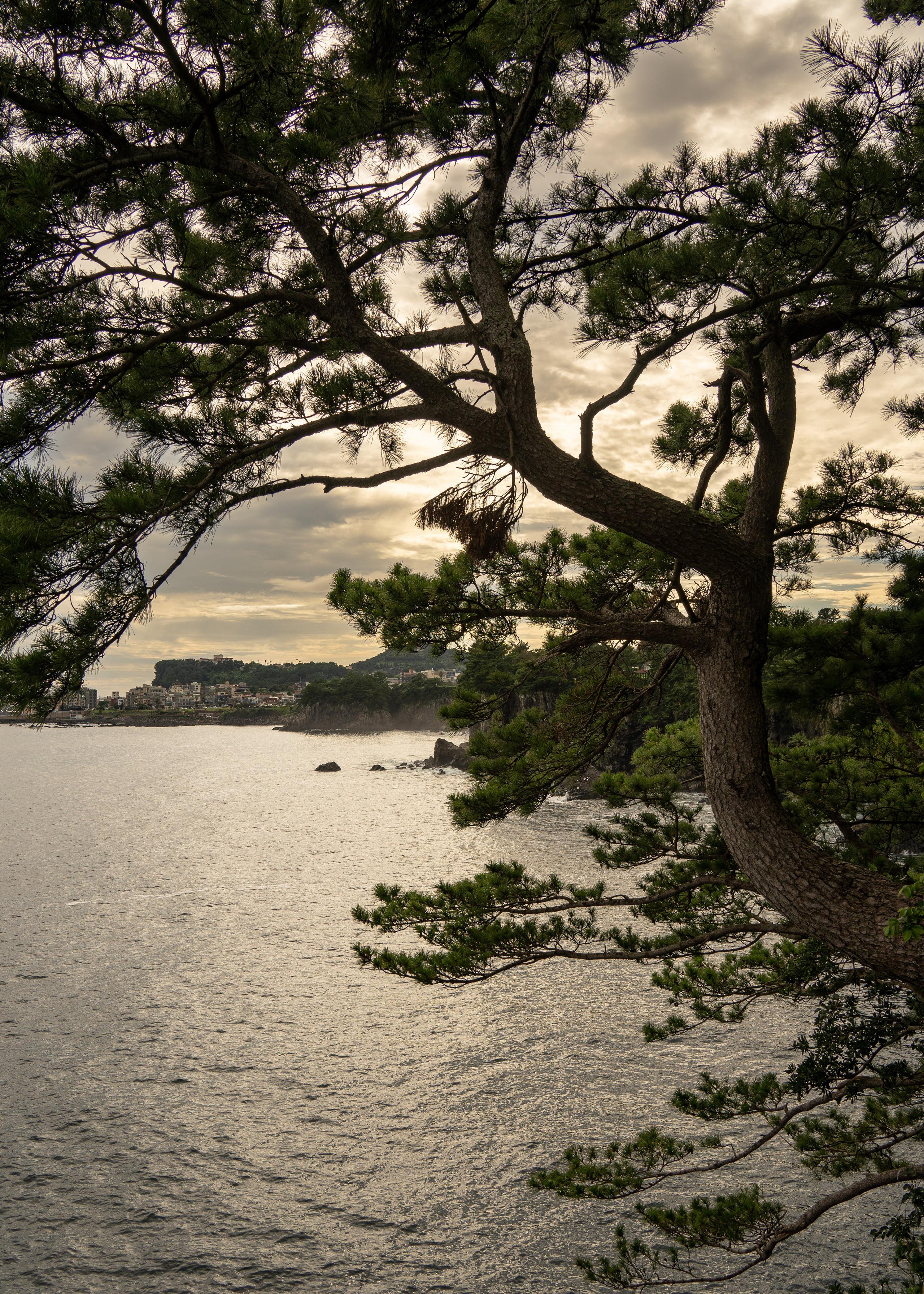 Южная Корея. Amateur photographer Nikolai Abushinov