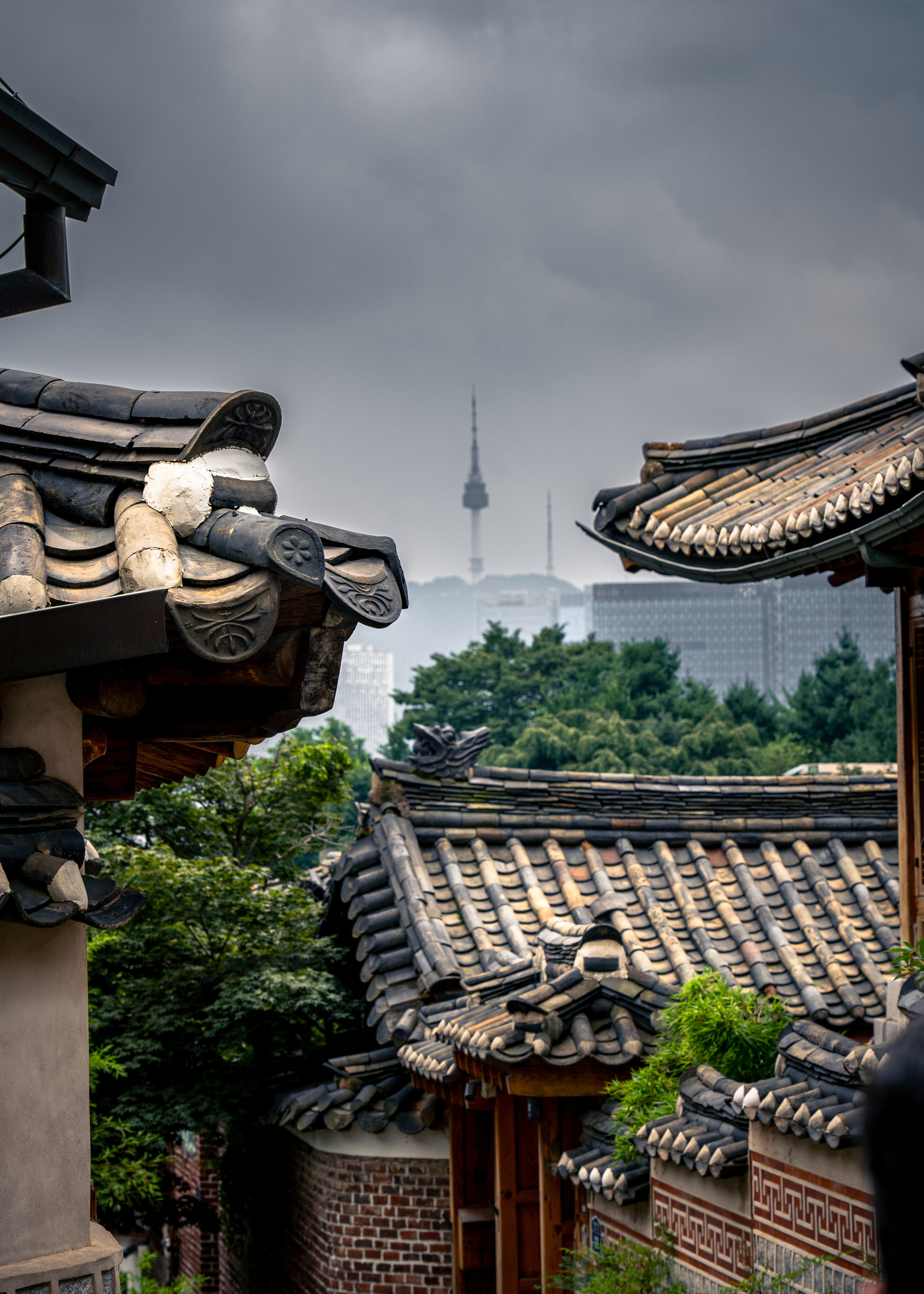 Amateur photographer Nikolai Abushinov