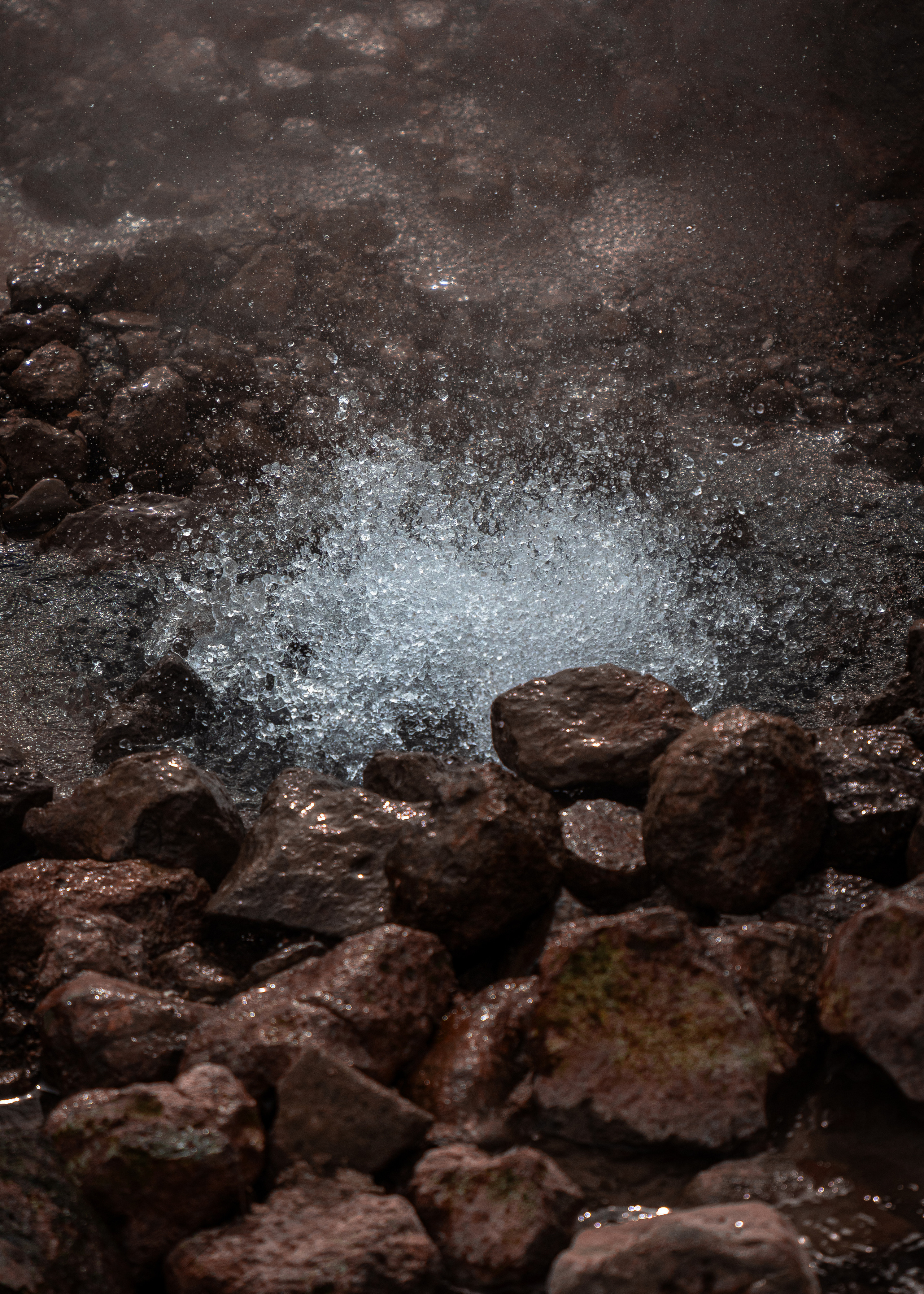 Камчатка. Amateur photographer Nikolai Abushinov