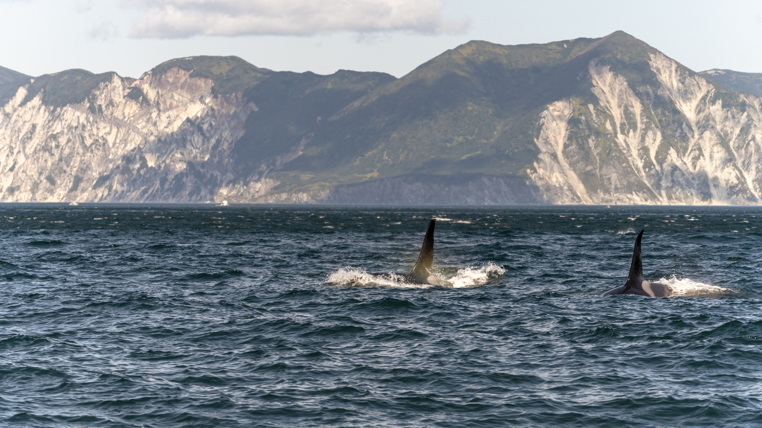 Камчатка. Amateur photographer Nikolai Abushinov