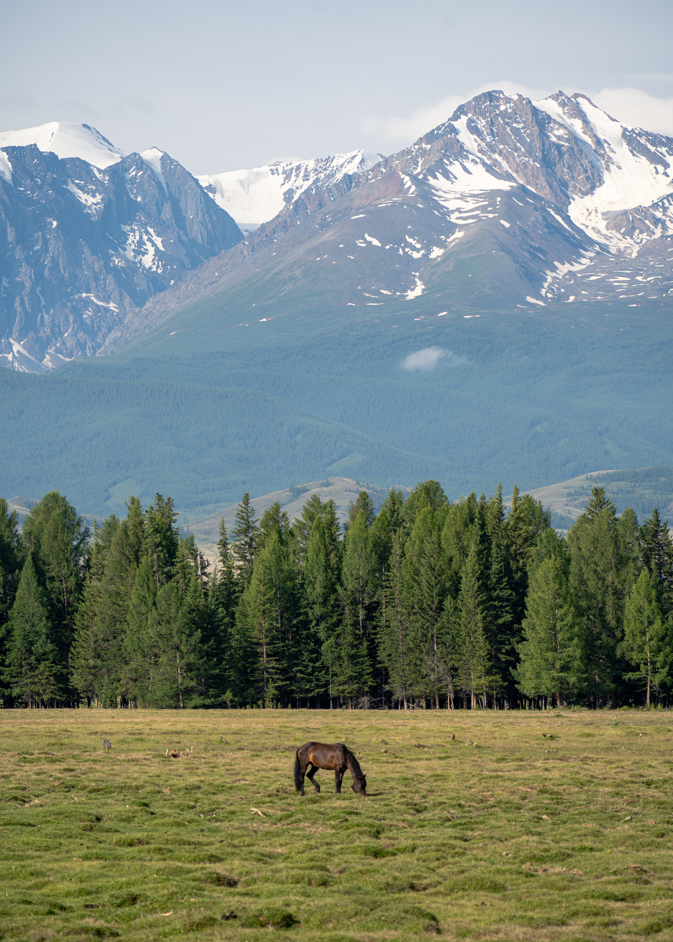 Алтай. Amateur photographer Nikolai Abushinov