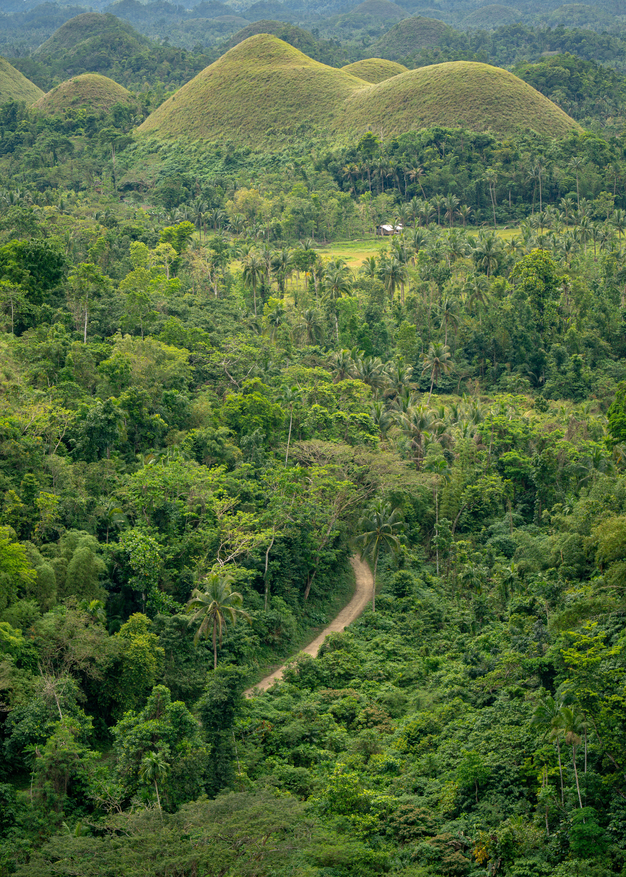 Филиппины. Amateur photographer Nikolai Abushinov