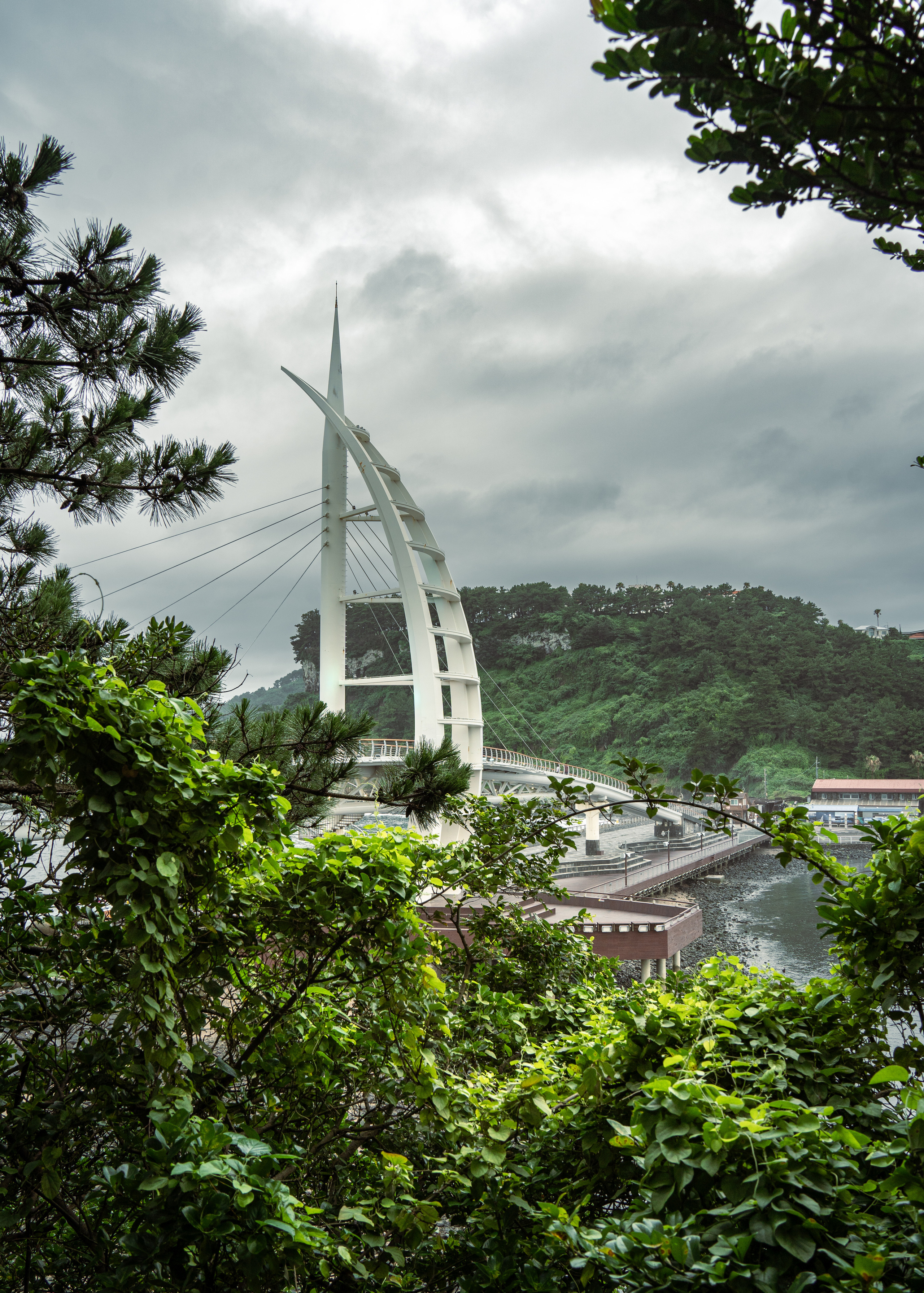 Южная Корея. Amateur photographer Nikolai Abushinov