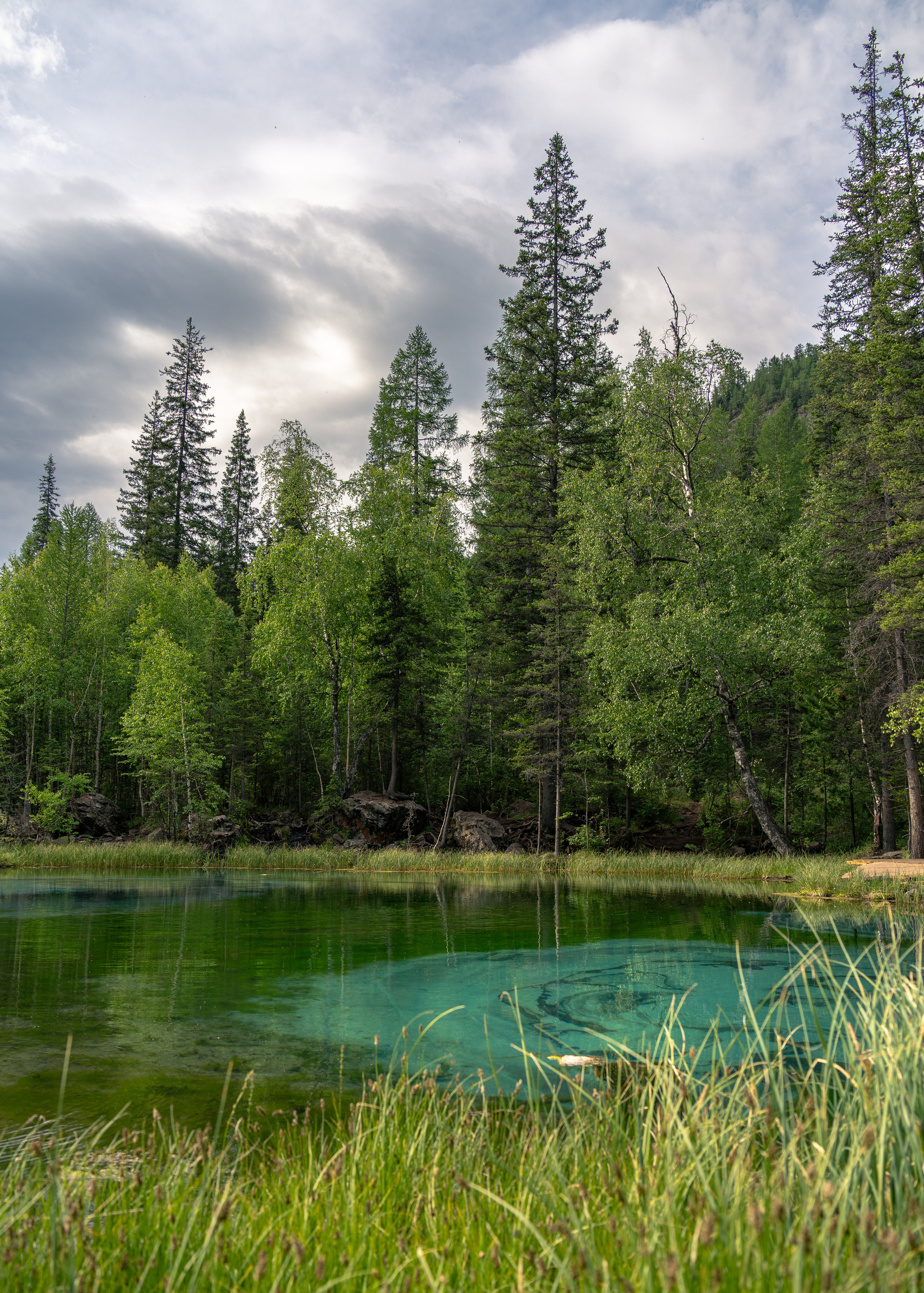 Алтай. Amateur photographer Nikolai Abushinov