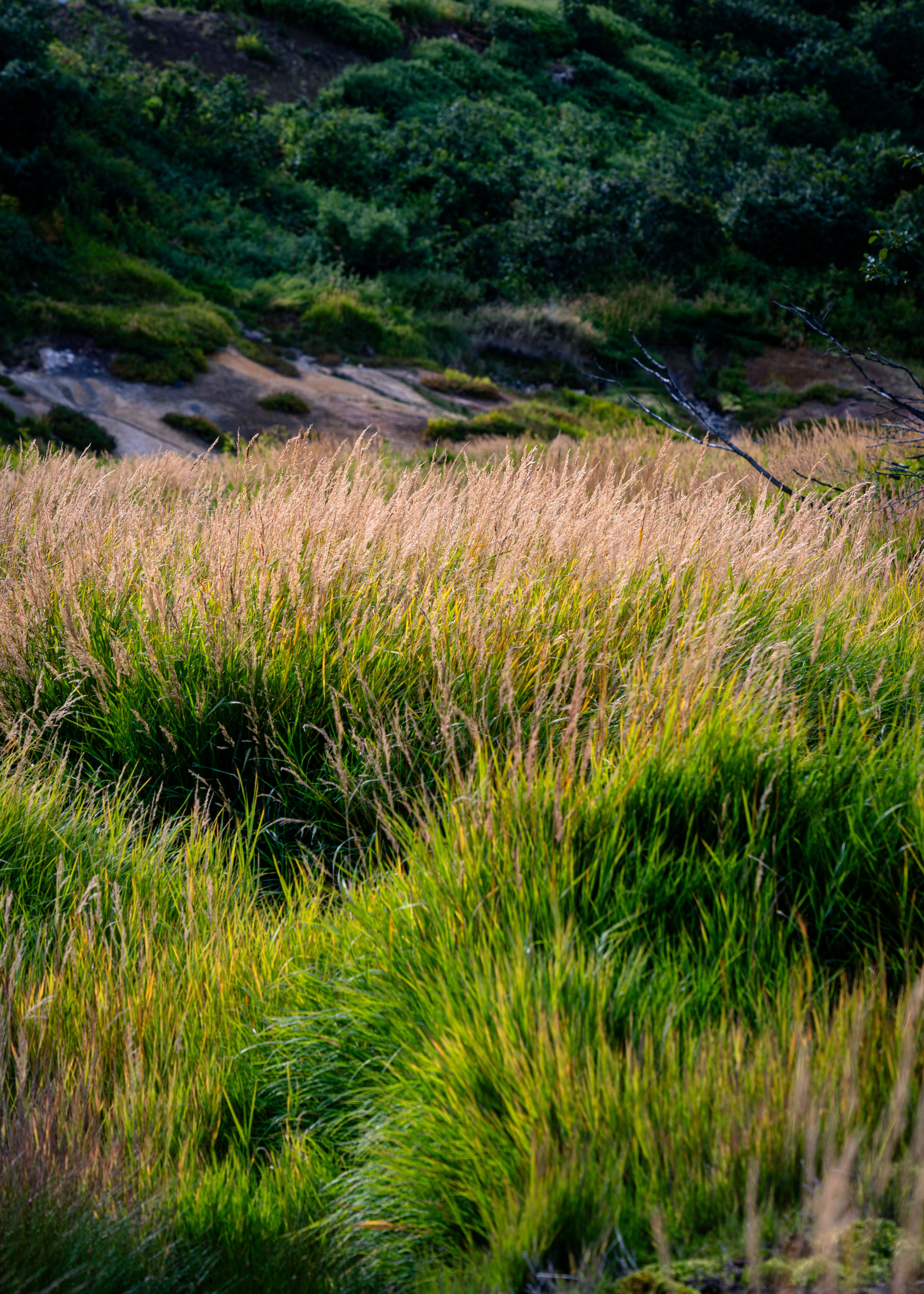 Камчатка. Amateur photographer Nikolai Abushinov