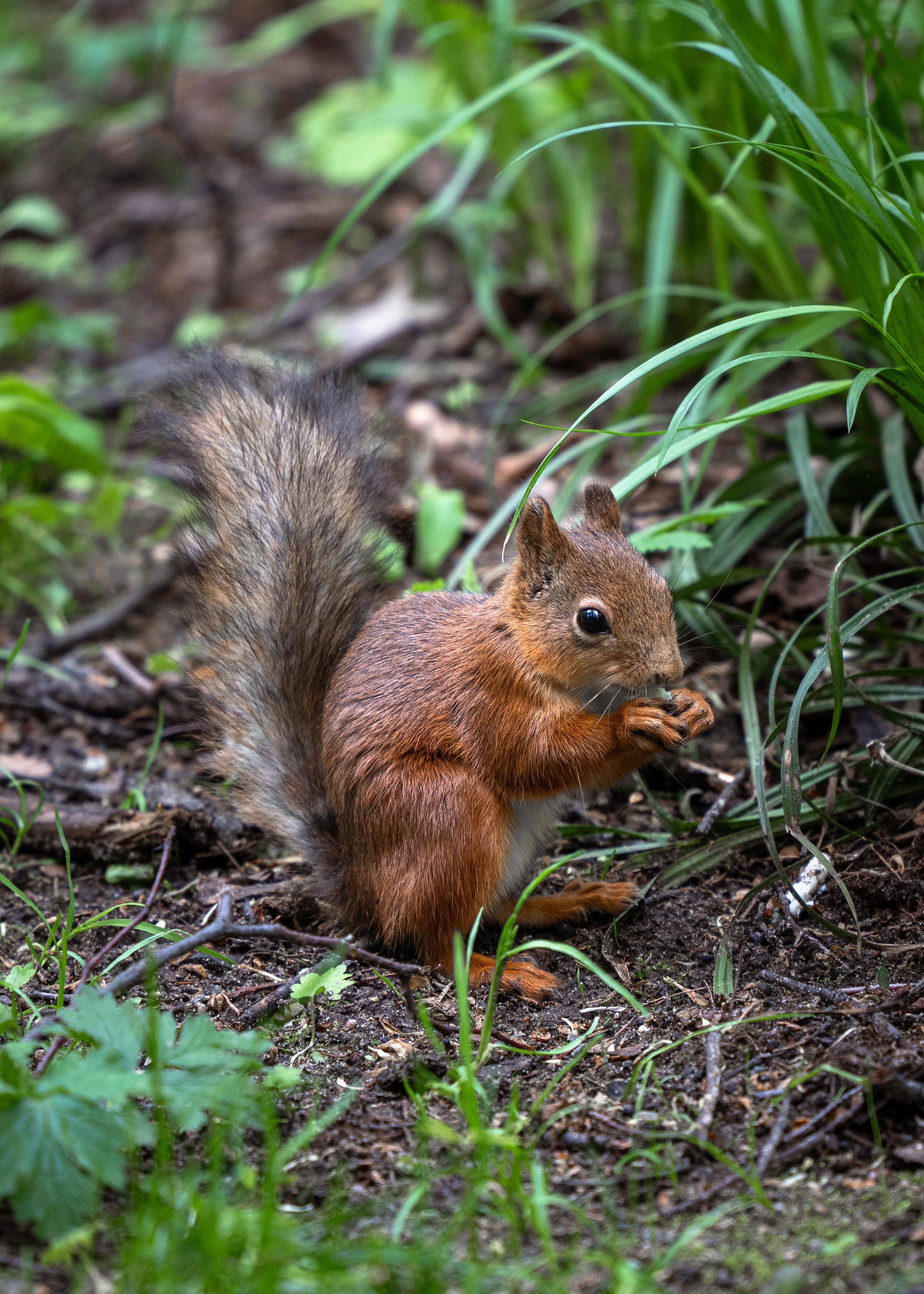 Москва. Amateur photographer Nikolai Abushinov