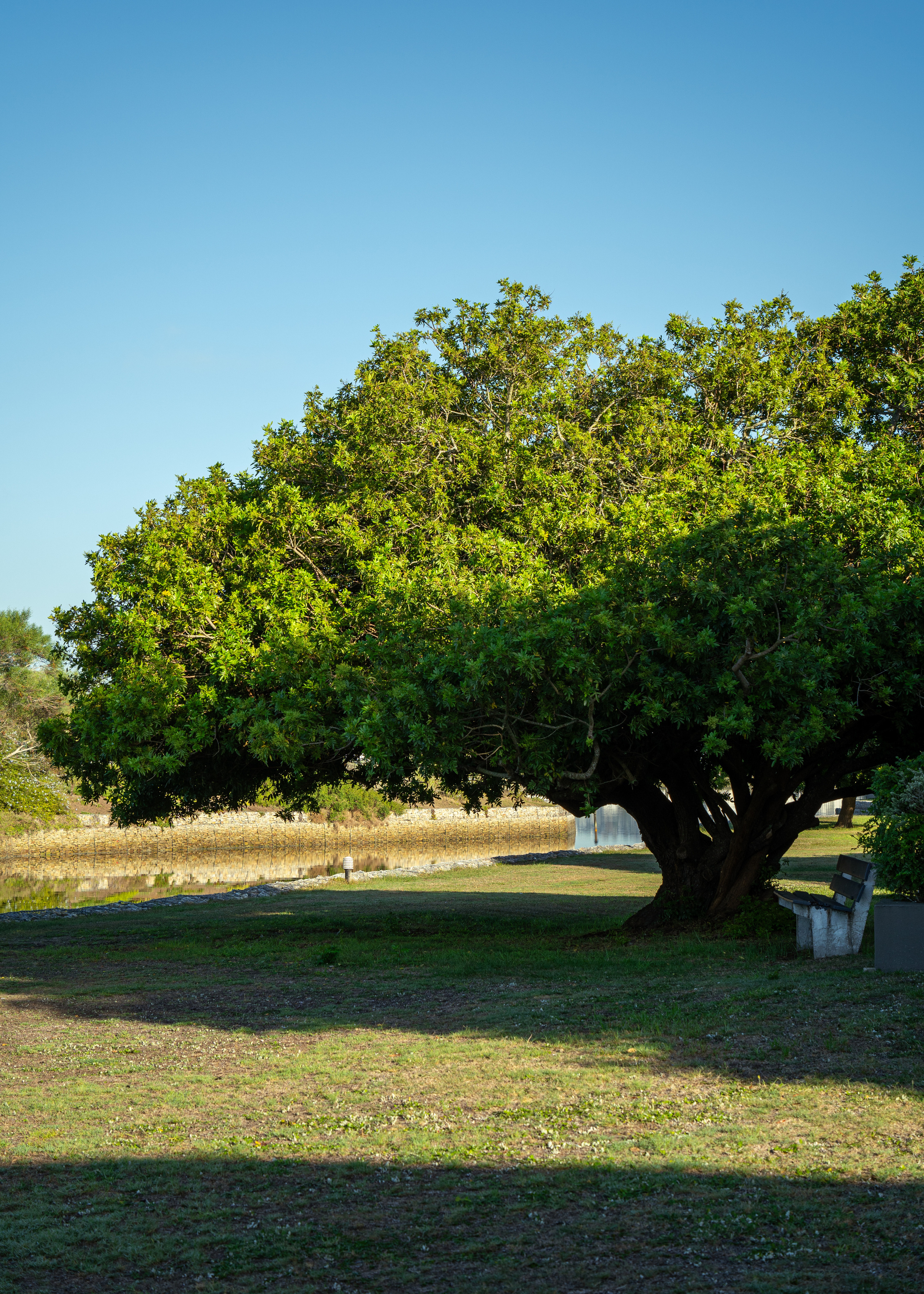 ЮАР. Amateur photographer Nikolai Abushinov