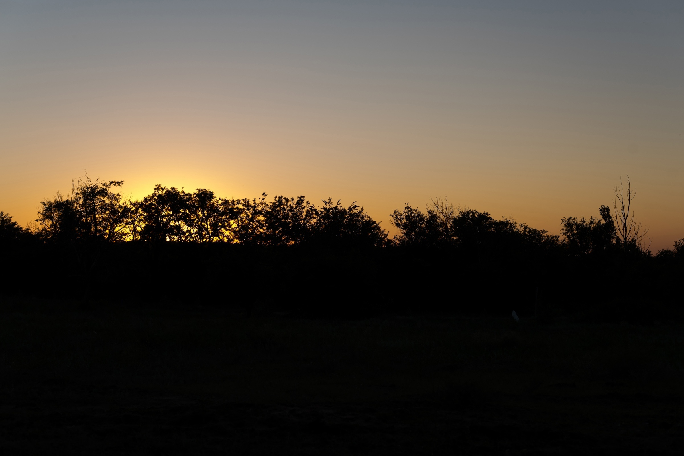 Love day. Свадебный фотограф Волгоград Роман Брызгалин и Натали Никитина