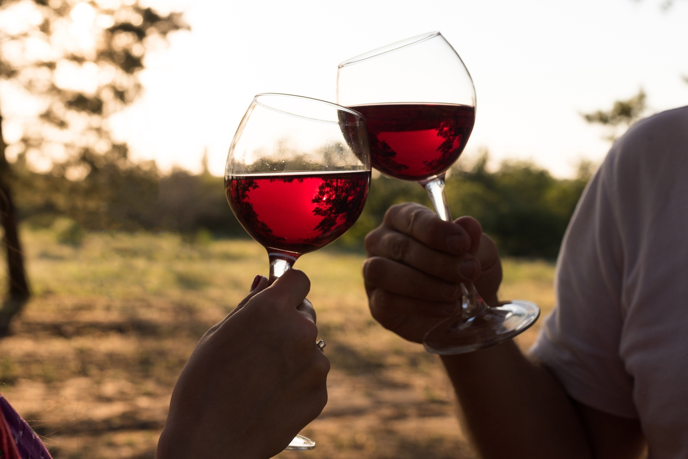 Love day. Свадебный фотограф Волгоград Роман Брызгалин и Натали Никитина