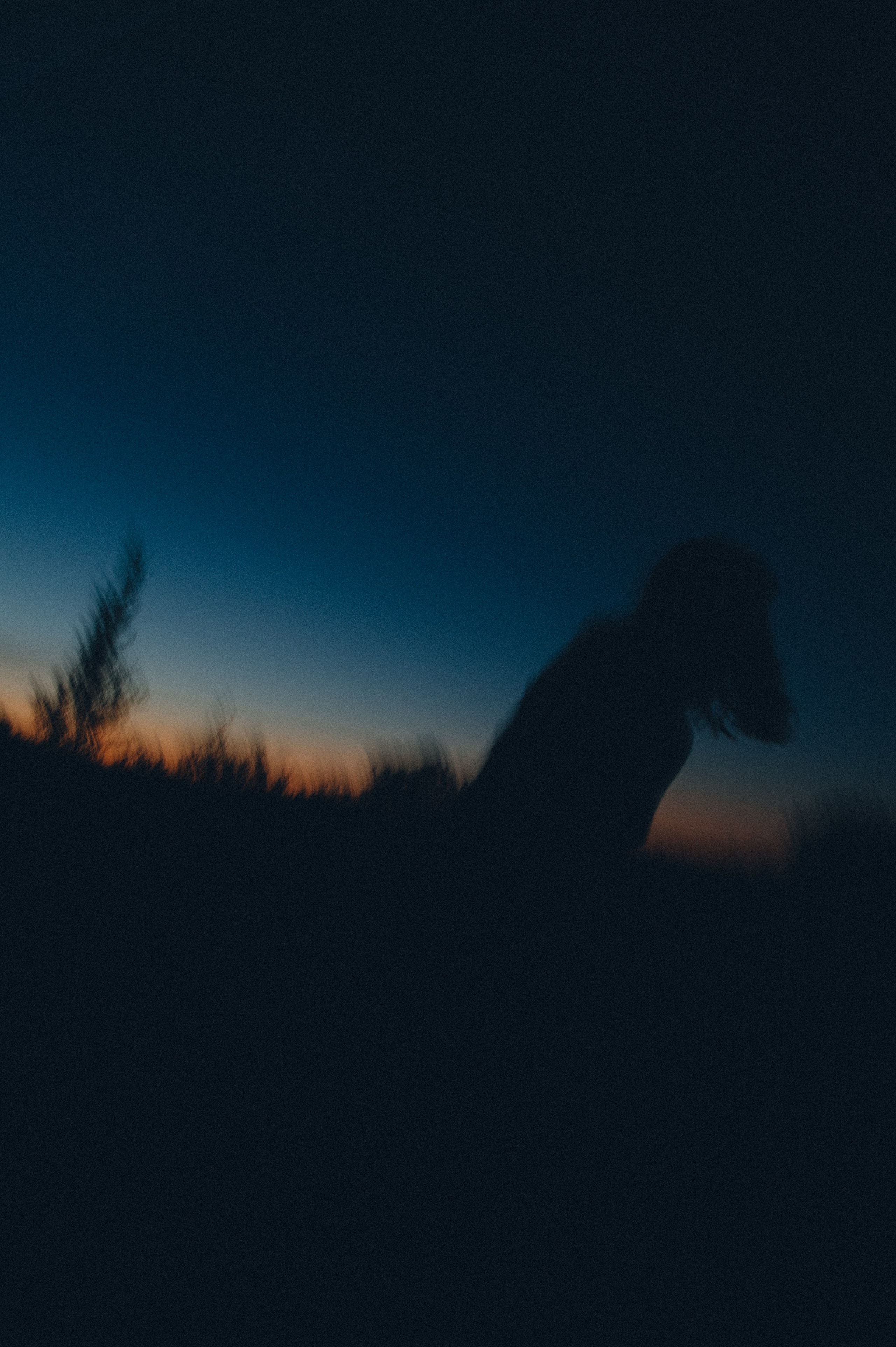 Оля в поле. Фотограф Дмитрий Пименов