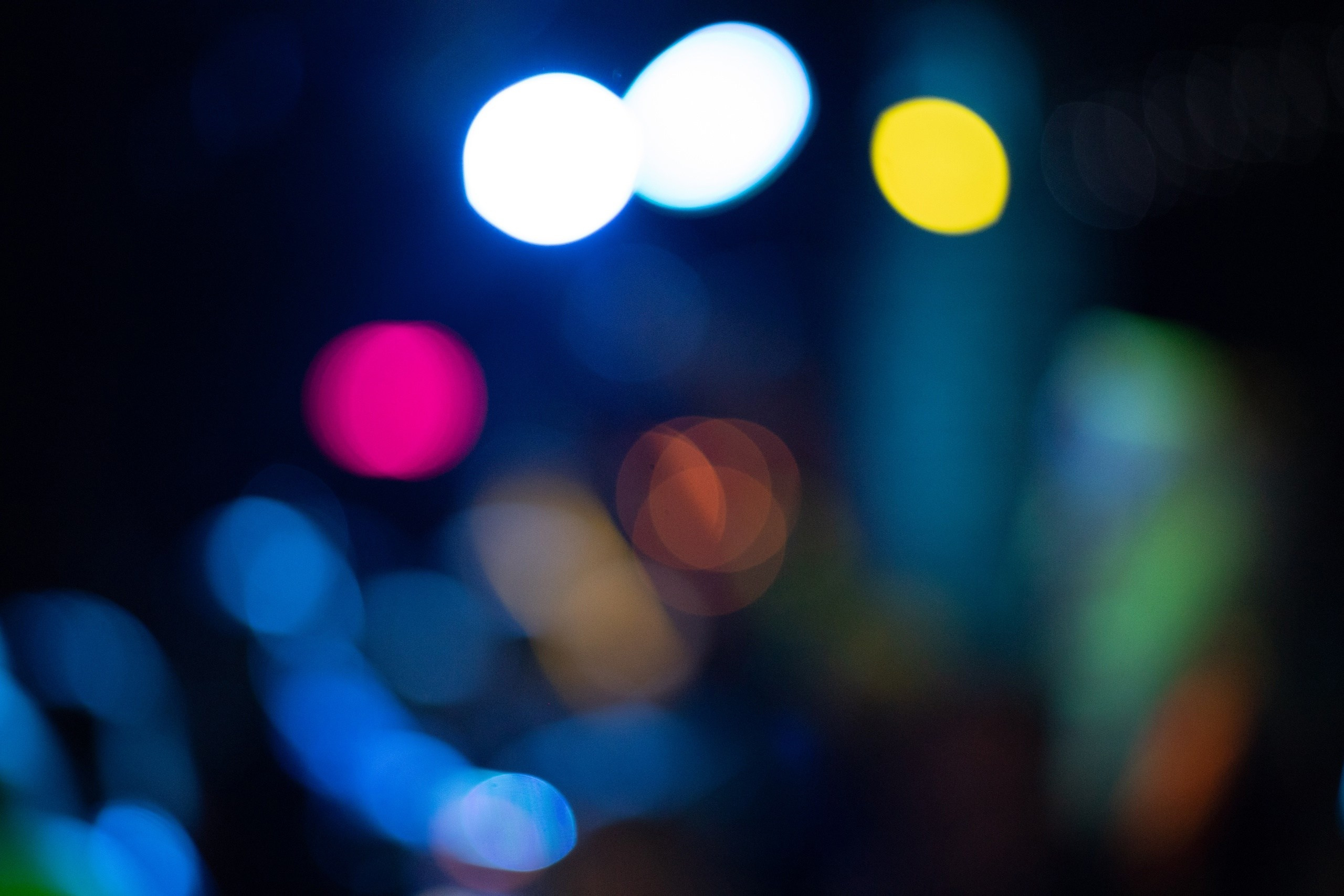 Toxasnip Photo | Anton Maslenkin