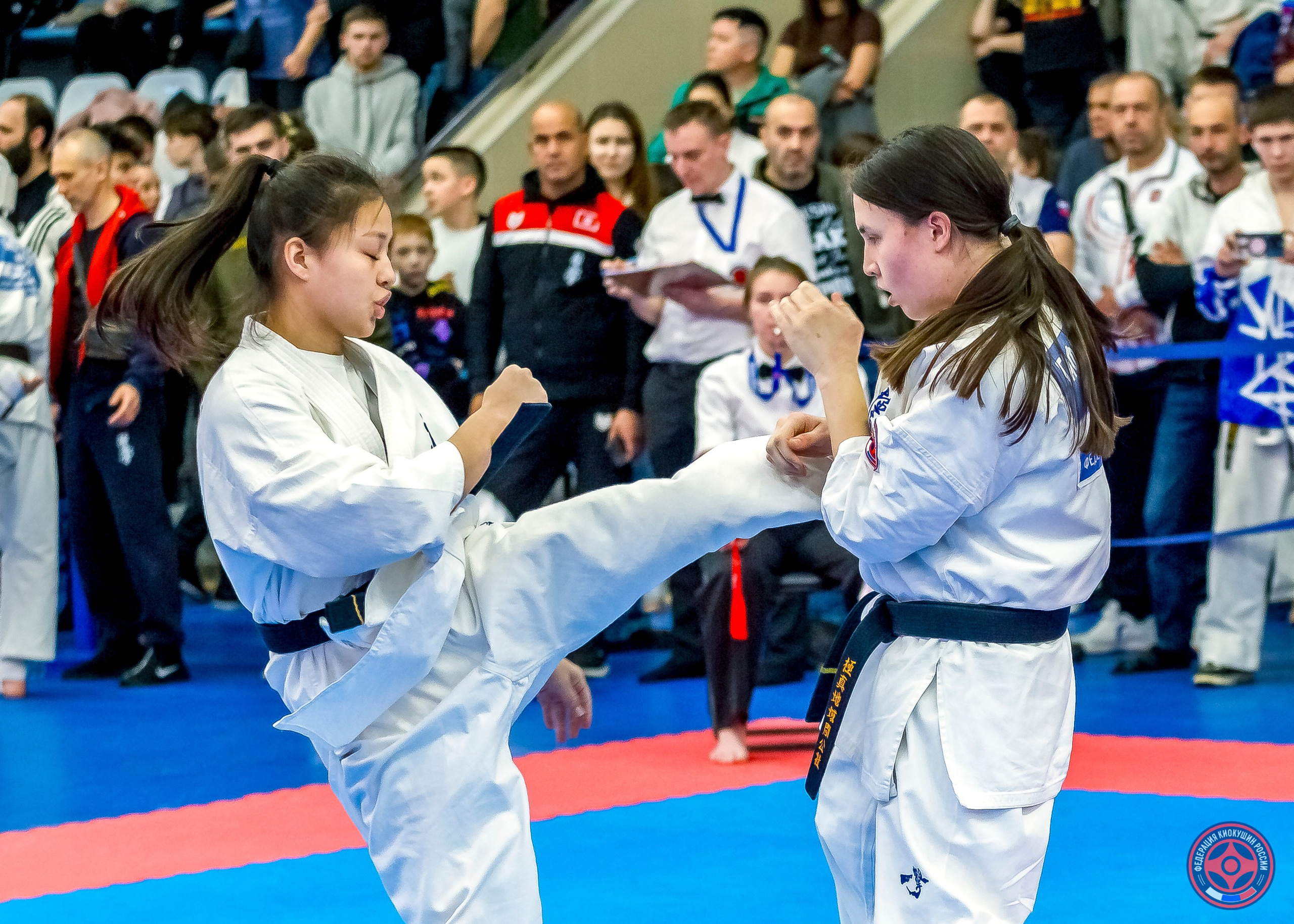 Международный турнир по киокушин «Открытый кубок Seiken». Репортажная съемка в Москве и области. Анималистика