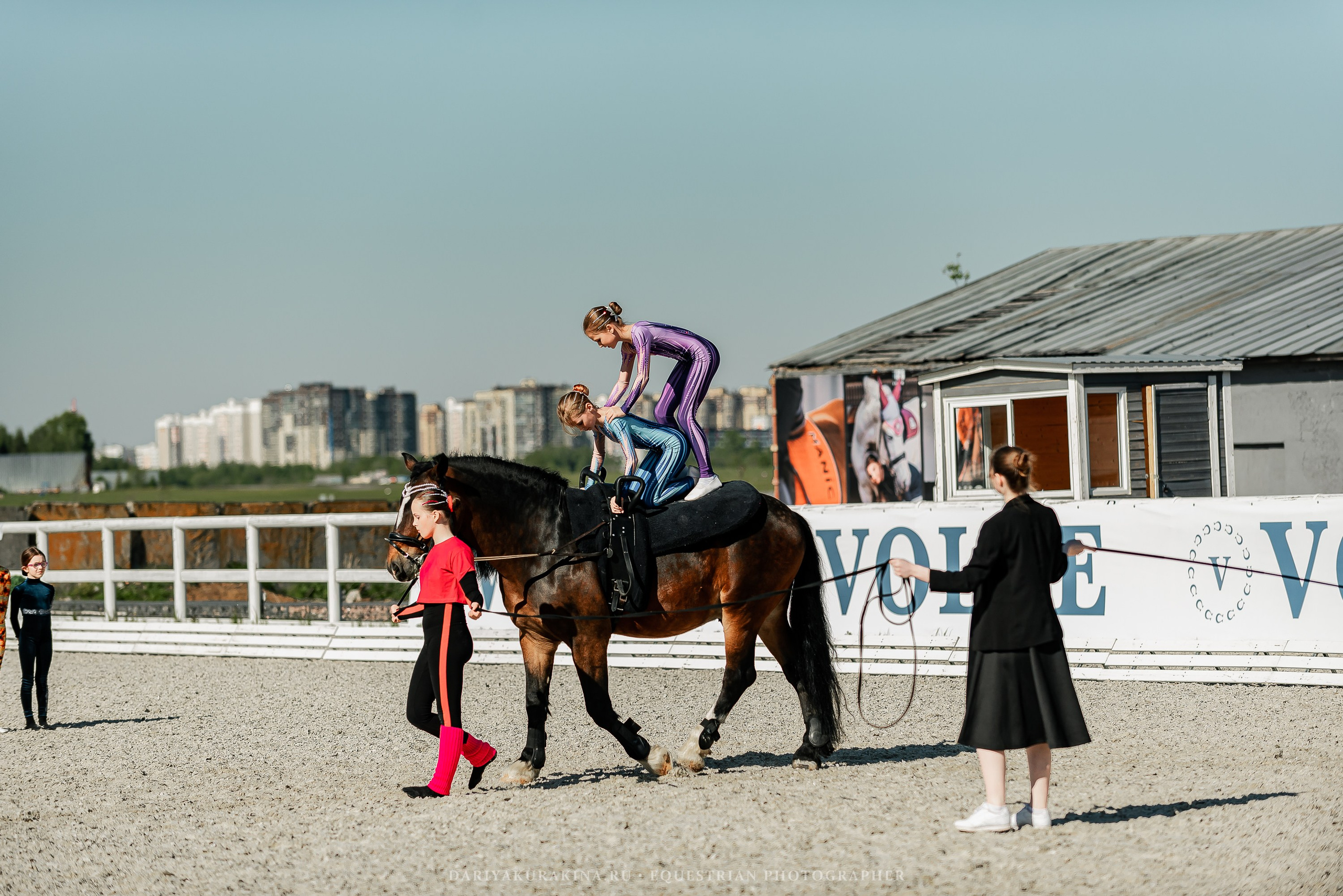 РЕПОРТАЖ МКК ВОЛЬТ «LA TULIPS». Конный фотограф Куракина Дарья • Фотосессии с лошадьми