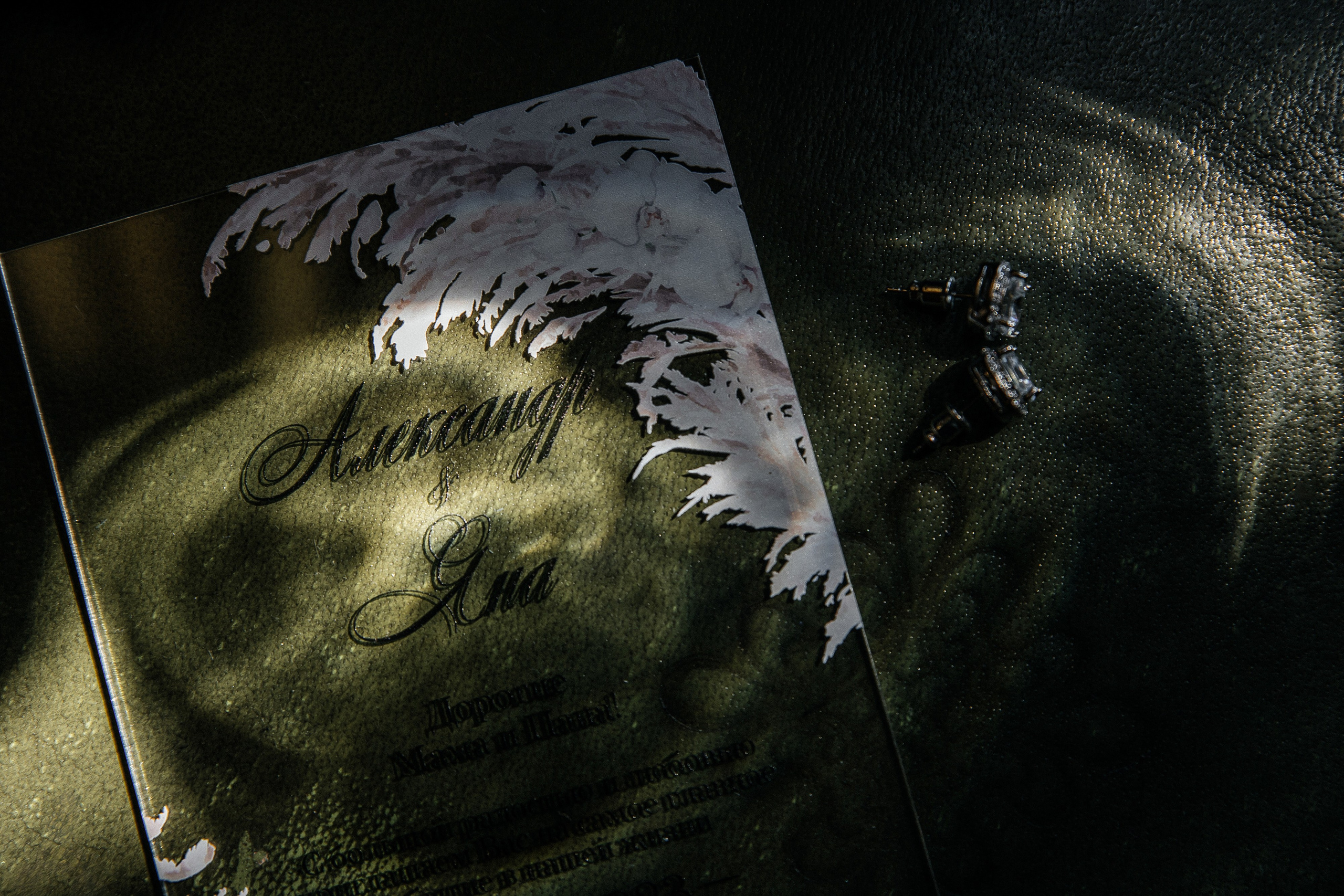 Alexander & Yana. Свадебный организатор в Ростове-на-Дону Яснов Роман