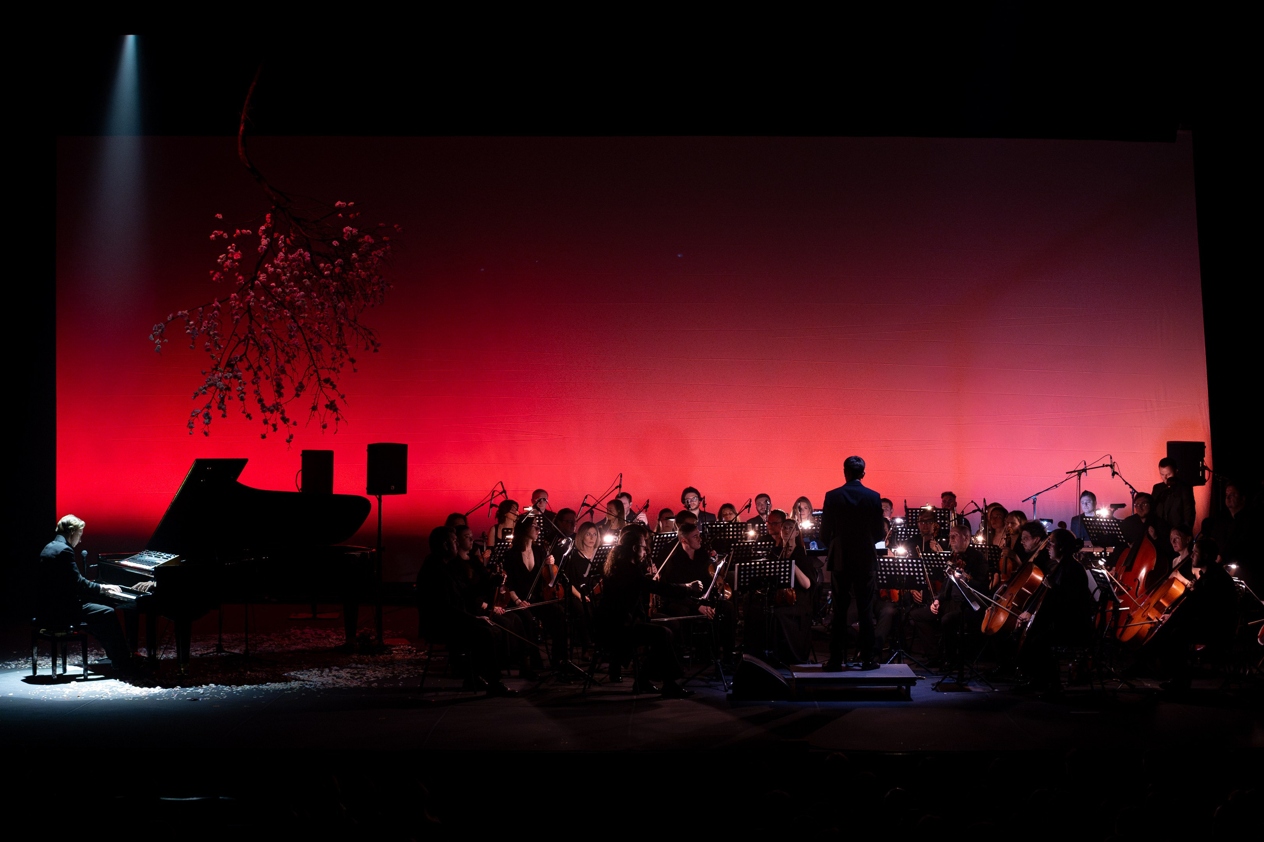 Никола Мельников / 2024. OOPS