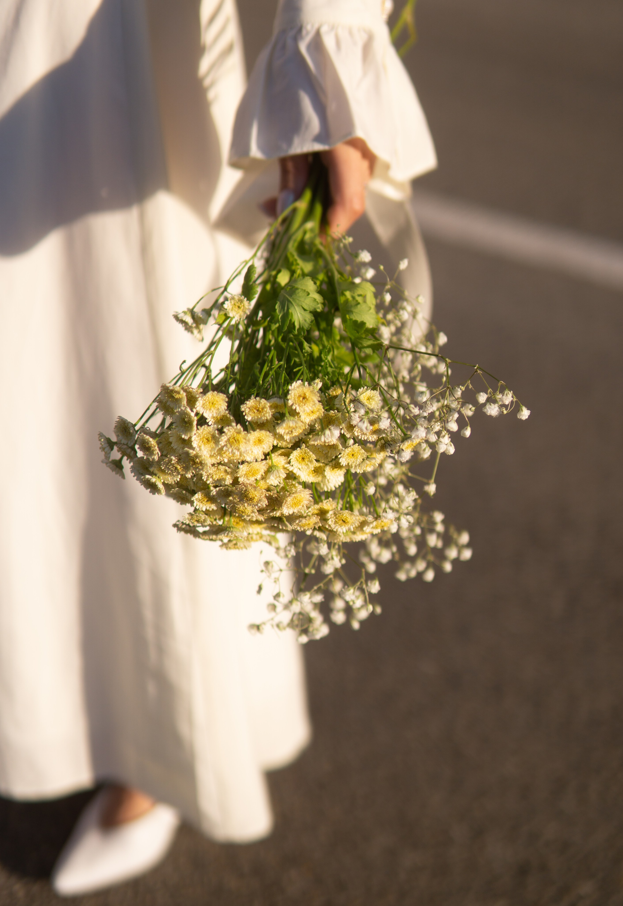 Солнечная прогулка в горах. Главная