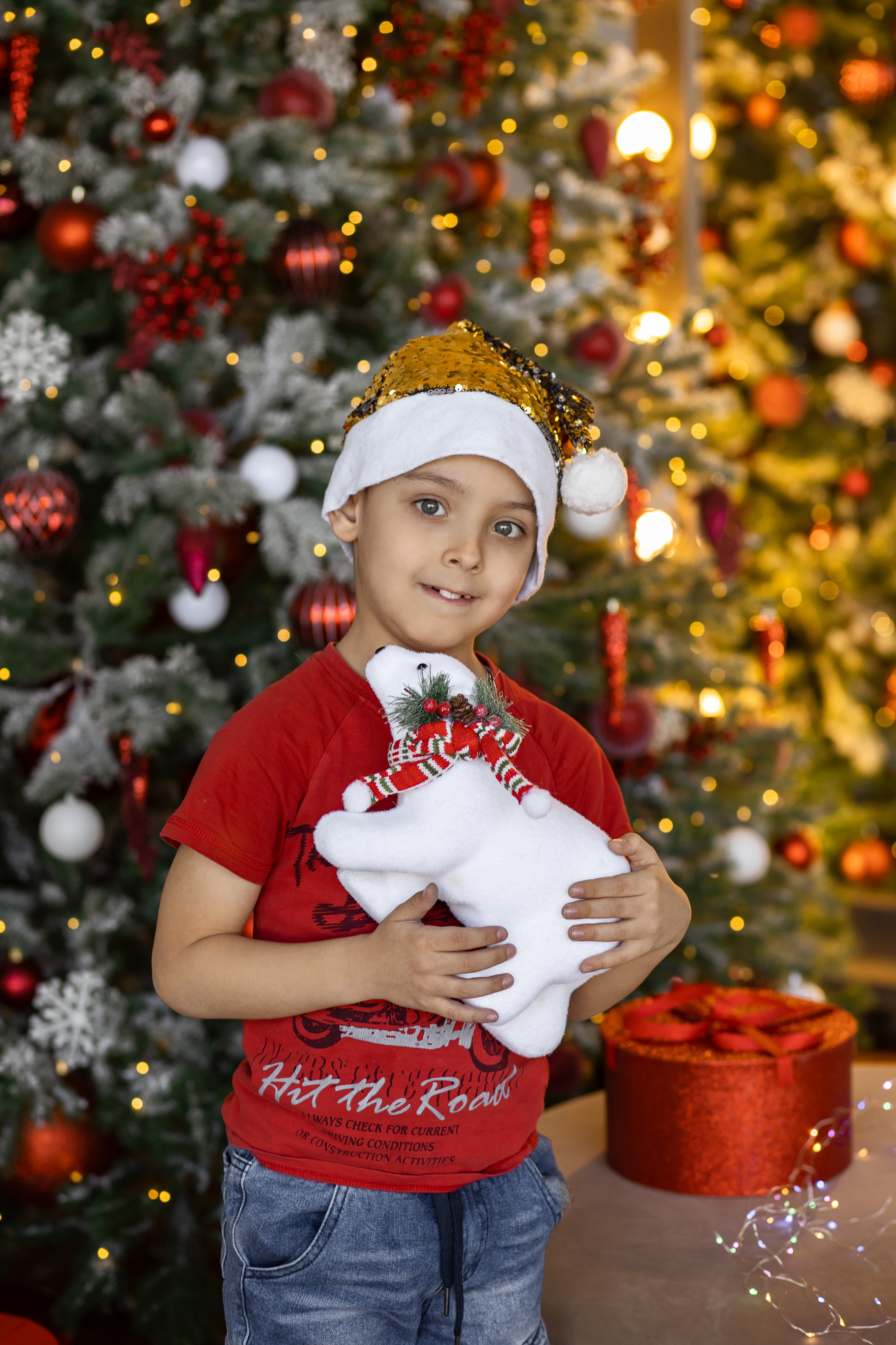 Новогодняя съёмка в студии. Фотограф Григорьева Ольга. Портретная, семейная съёмка, Love Stori, видеосъёмка в городе Чита. Выпускные альбомы, фотокниги