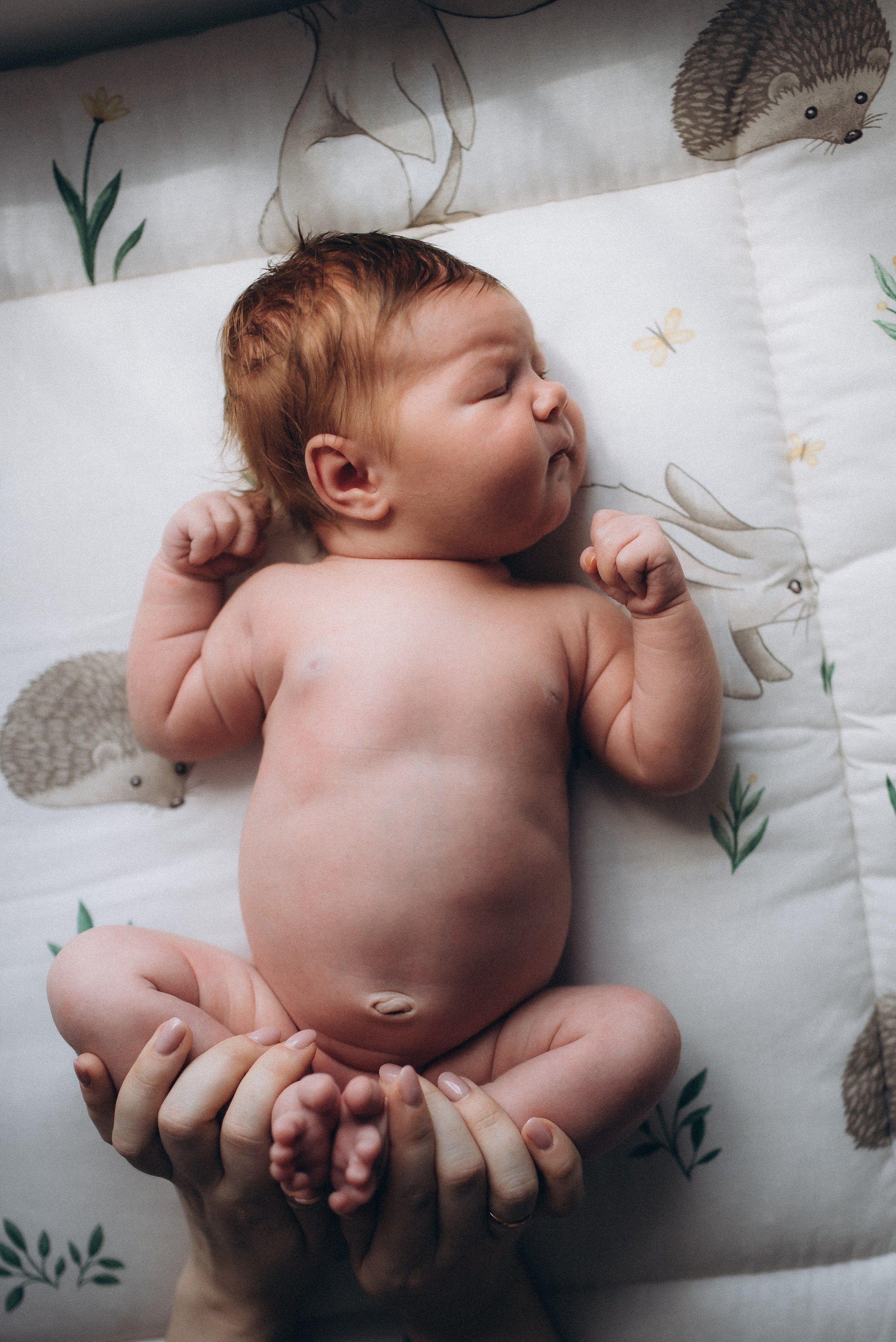 6-й денёчек новой жизни 🥰 Варюша 🧡. Семейный фотограф в Ростове-на-Дону Мария Панарина