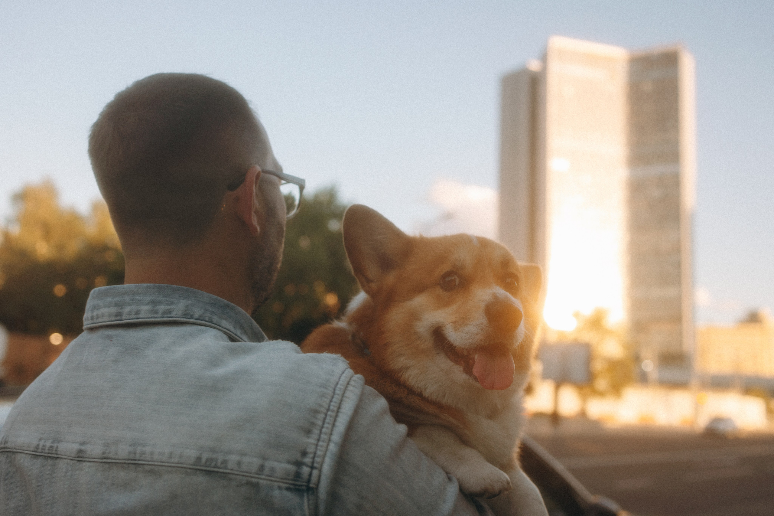 Момо, Люда и Эд. Фотограф анималист Анастасия Пикей