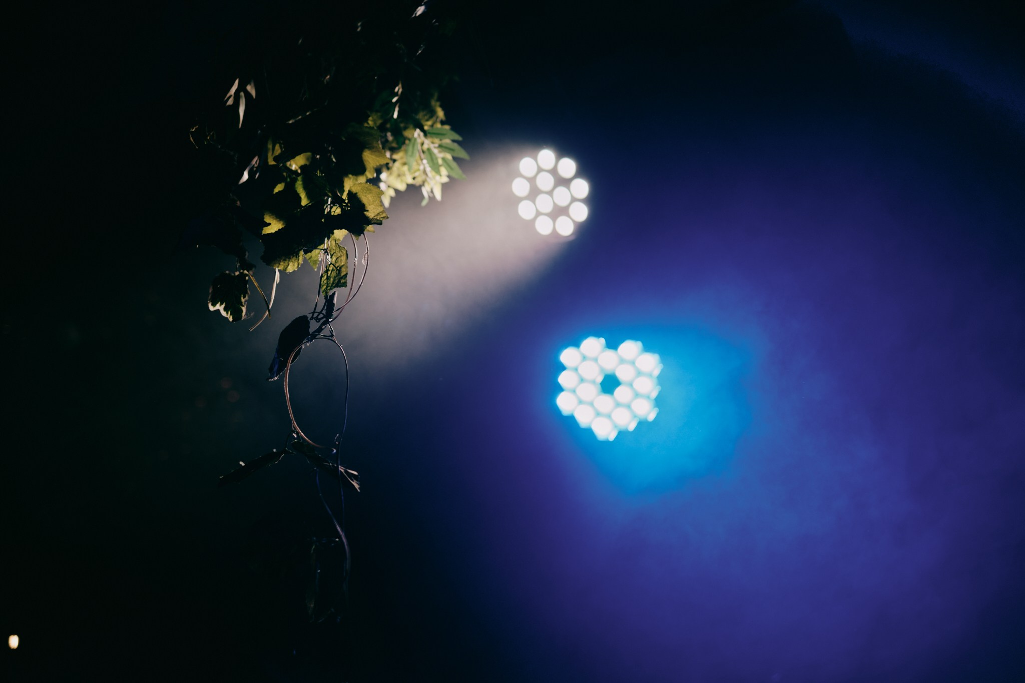 Ecstatic White Flame. Фотограф Аннё| Москва